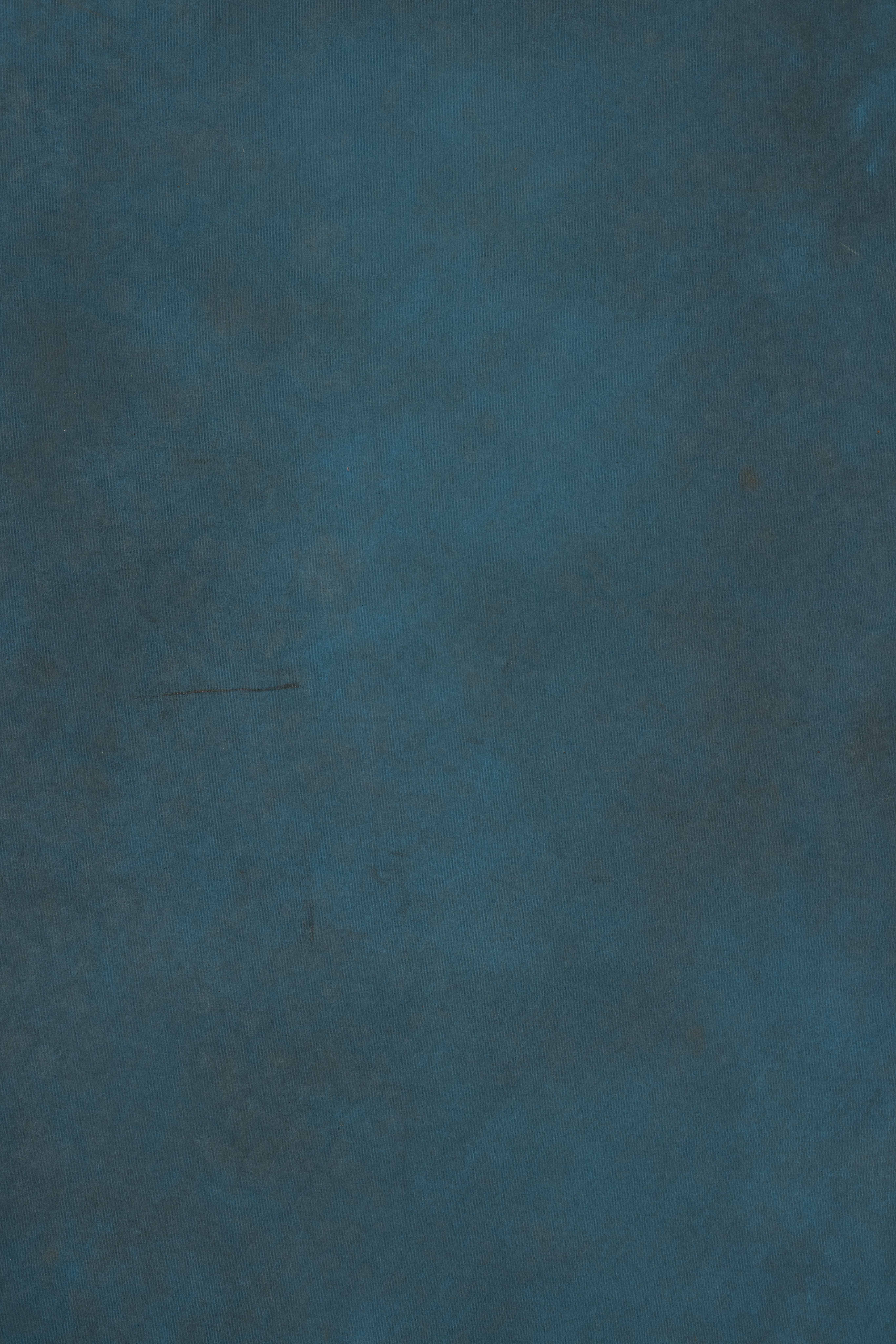 Limed Spruce Canvas Backdrop (RN#246) view 3
