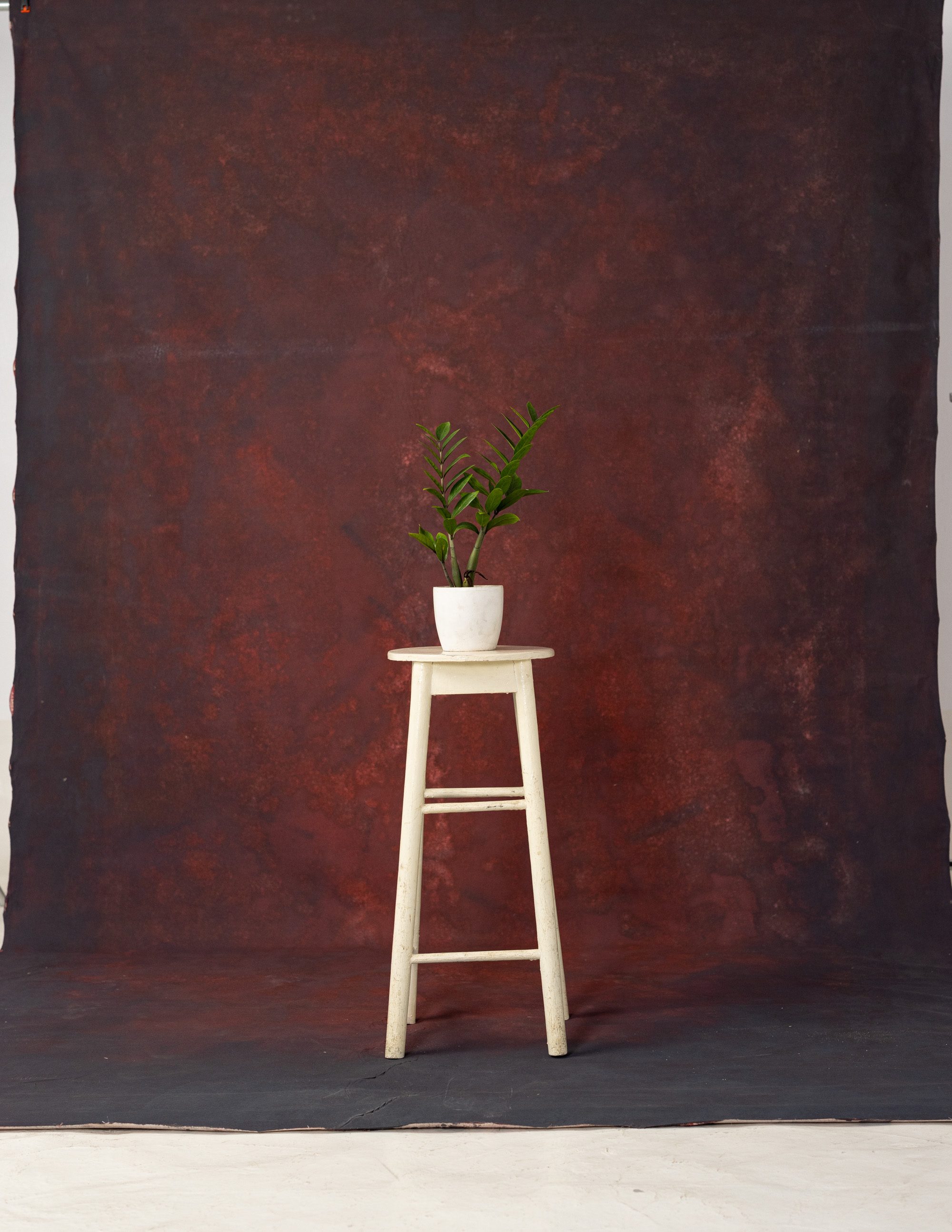 Espresso Painted Canvas Backdrop (RN#151)