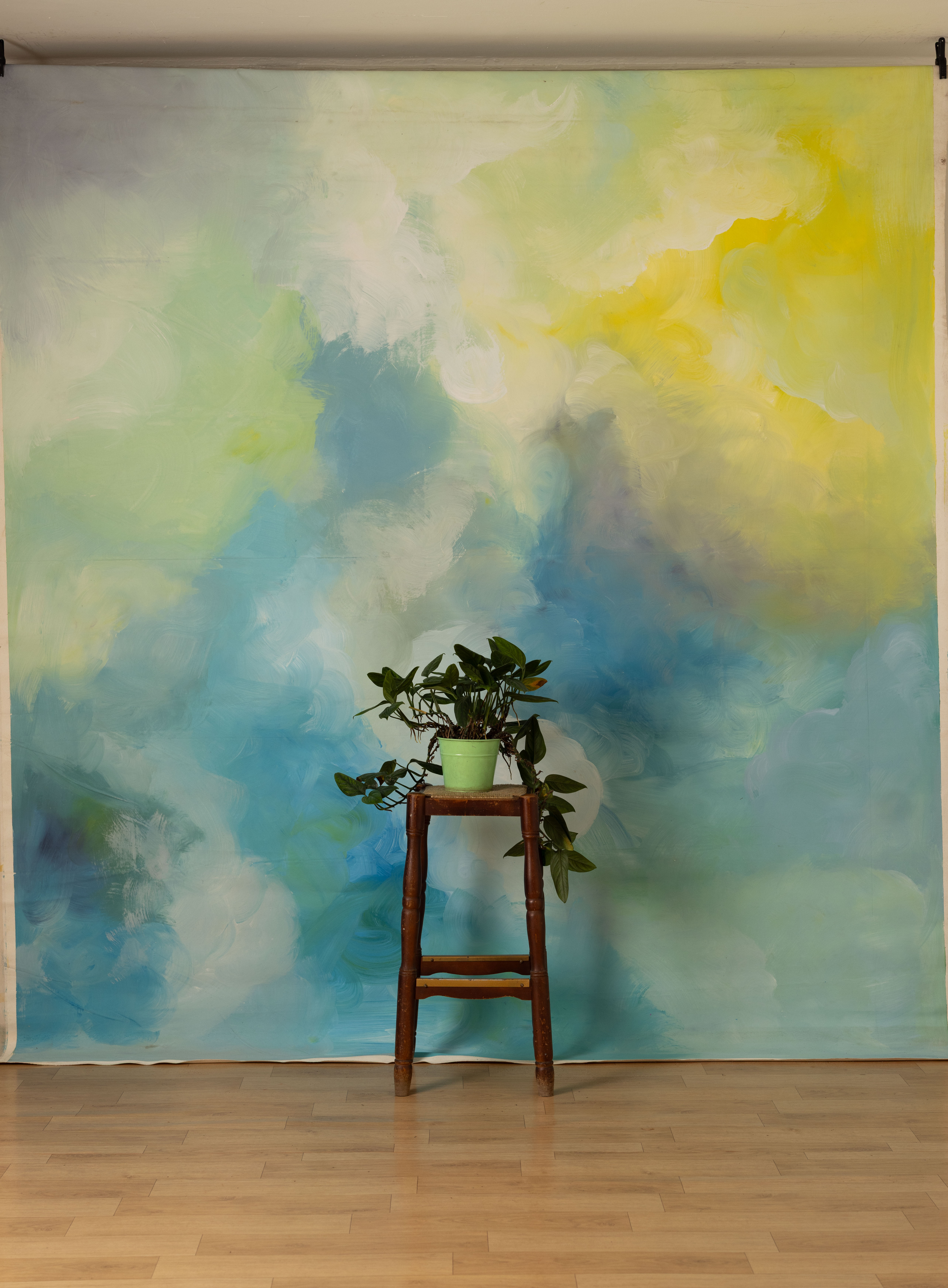 Blue Hosta Canvas Backdrop (RN#239)