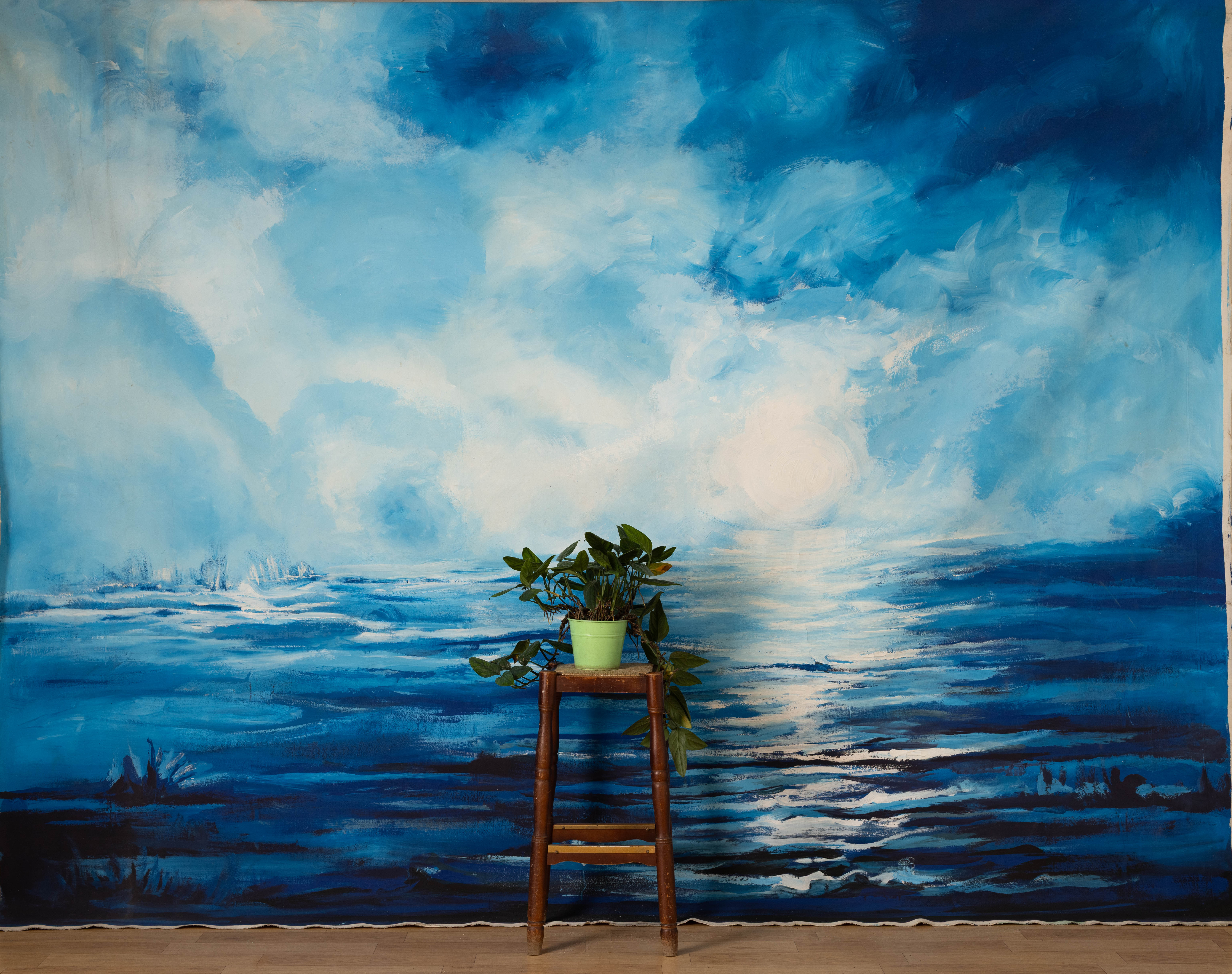 Ocean Breeze Canvas Backdrop (RN#245)