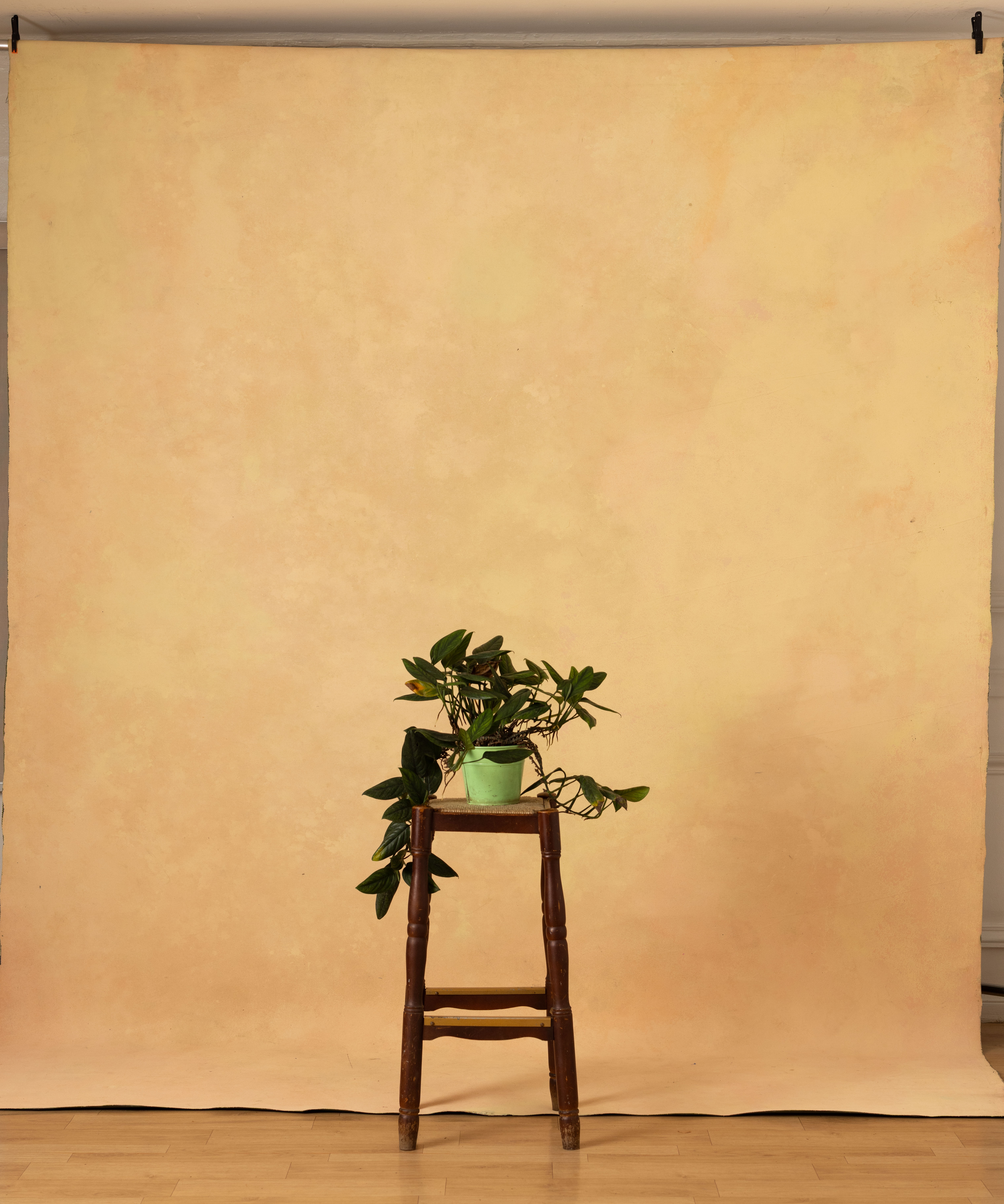 Sage Terra Canvas Backdrop (RN#358)