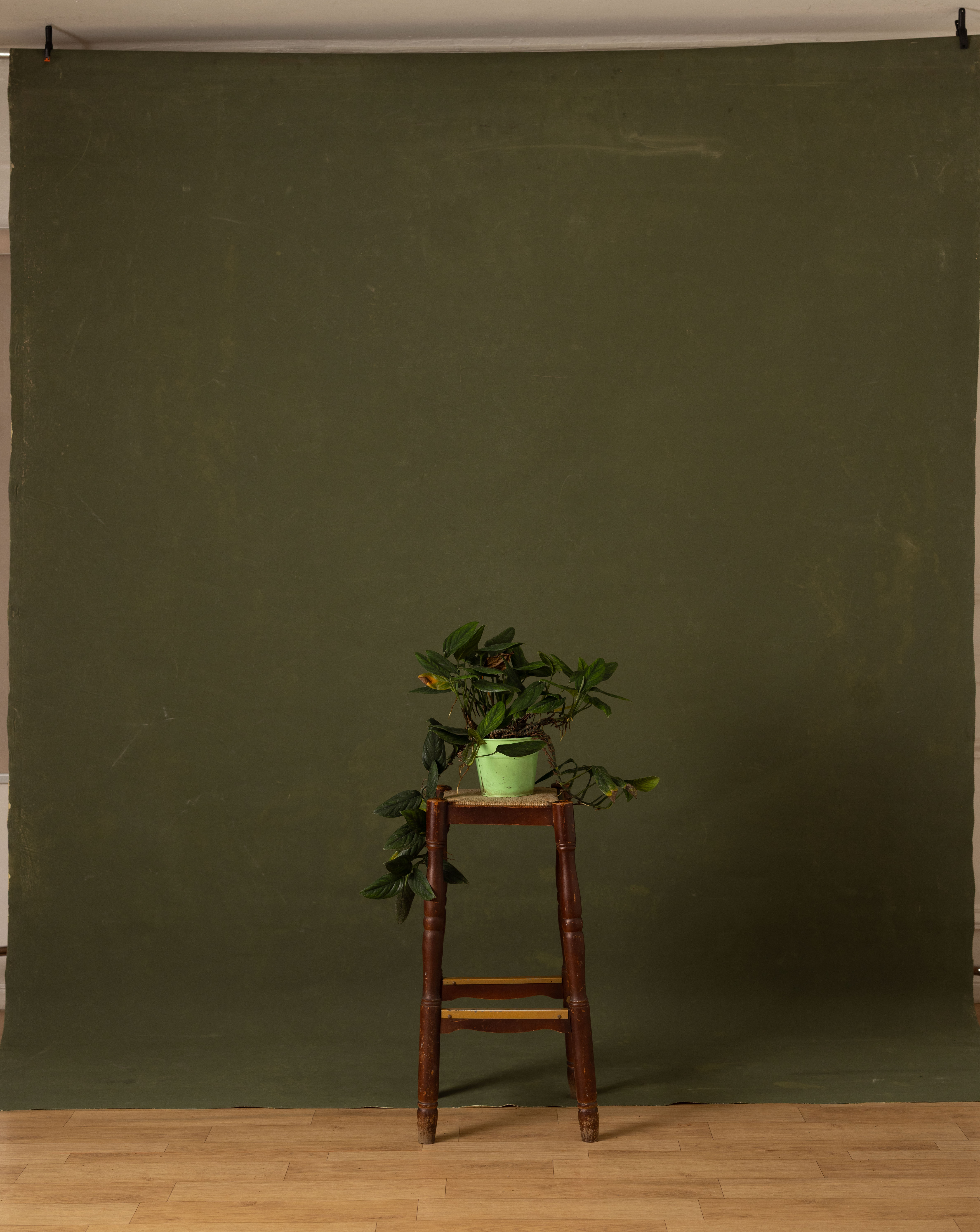 Sage Terra Canvas Backdrop (RN#358) view 2