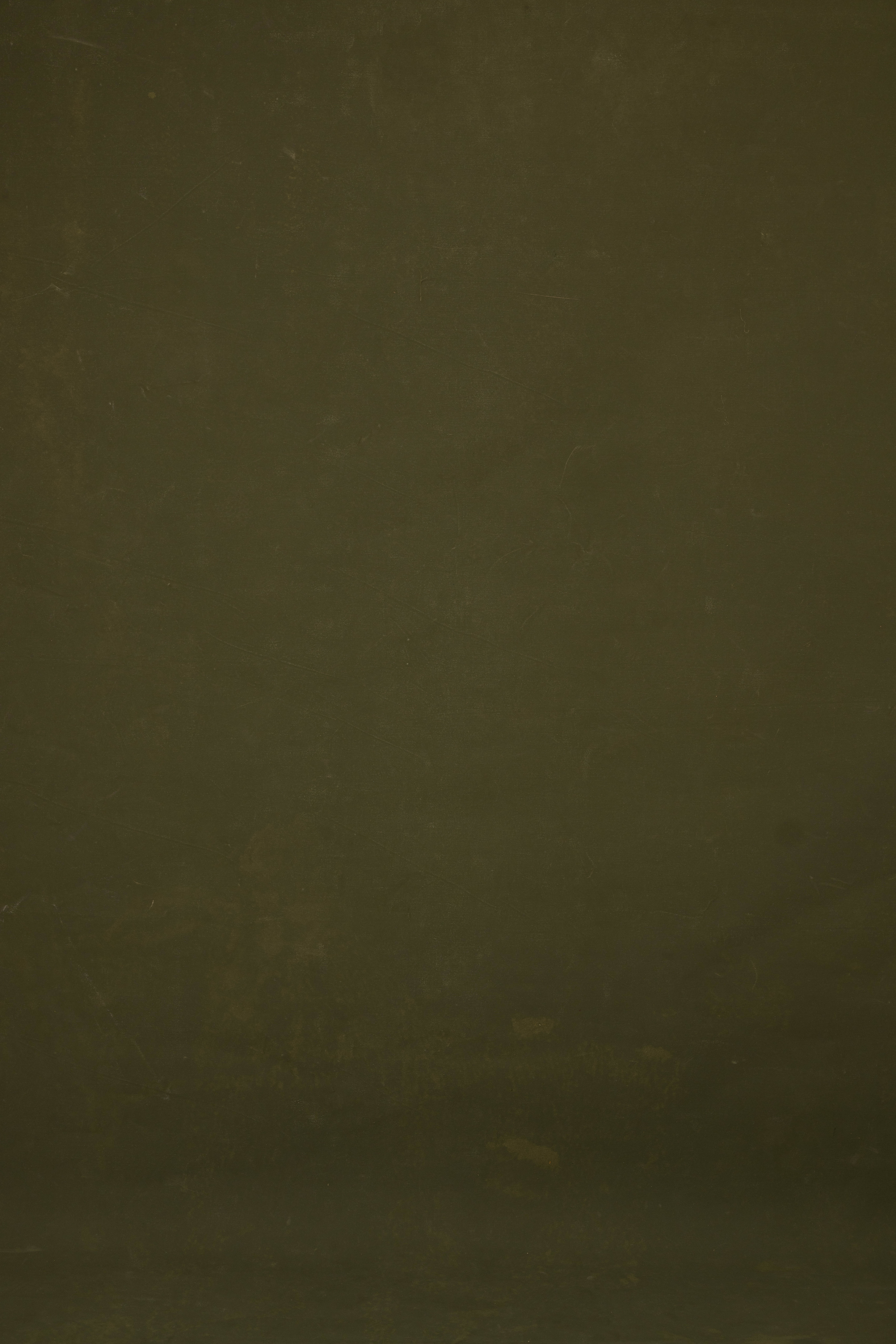 Sage Terra Canvas Backdrop (RN#358) view 3