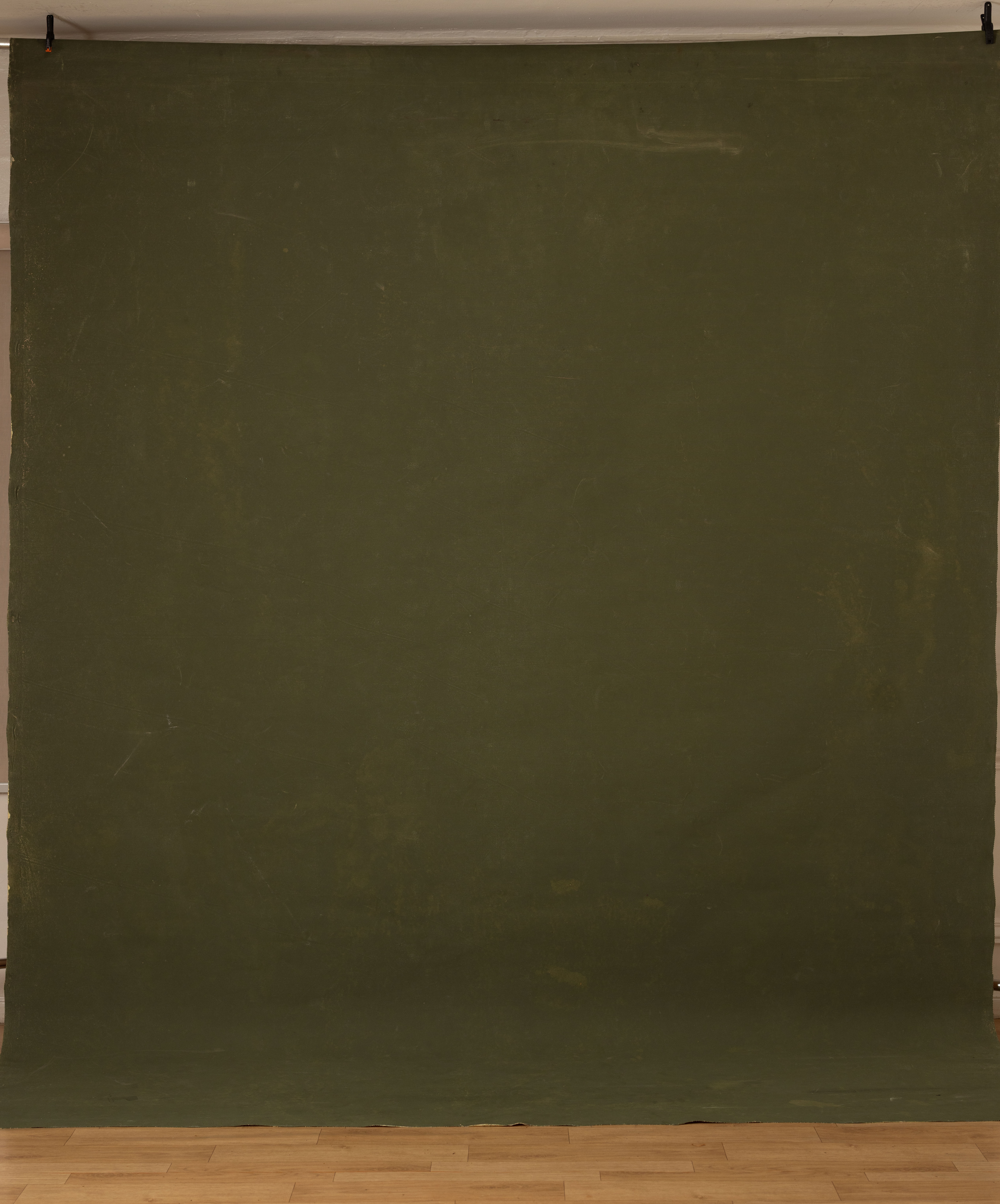 Sage Terra Canvas Backdrop (RN#358) view 4