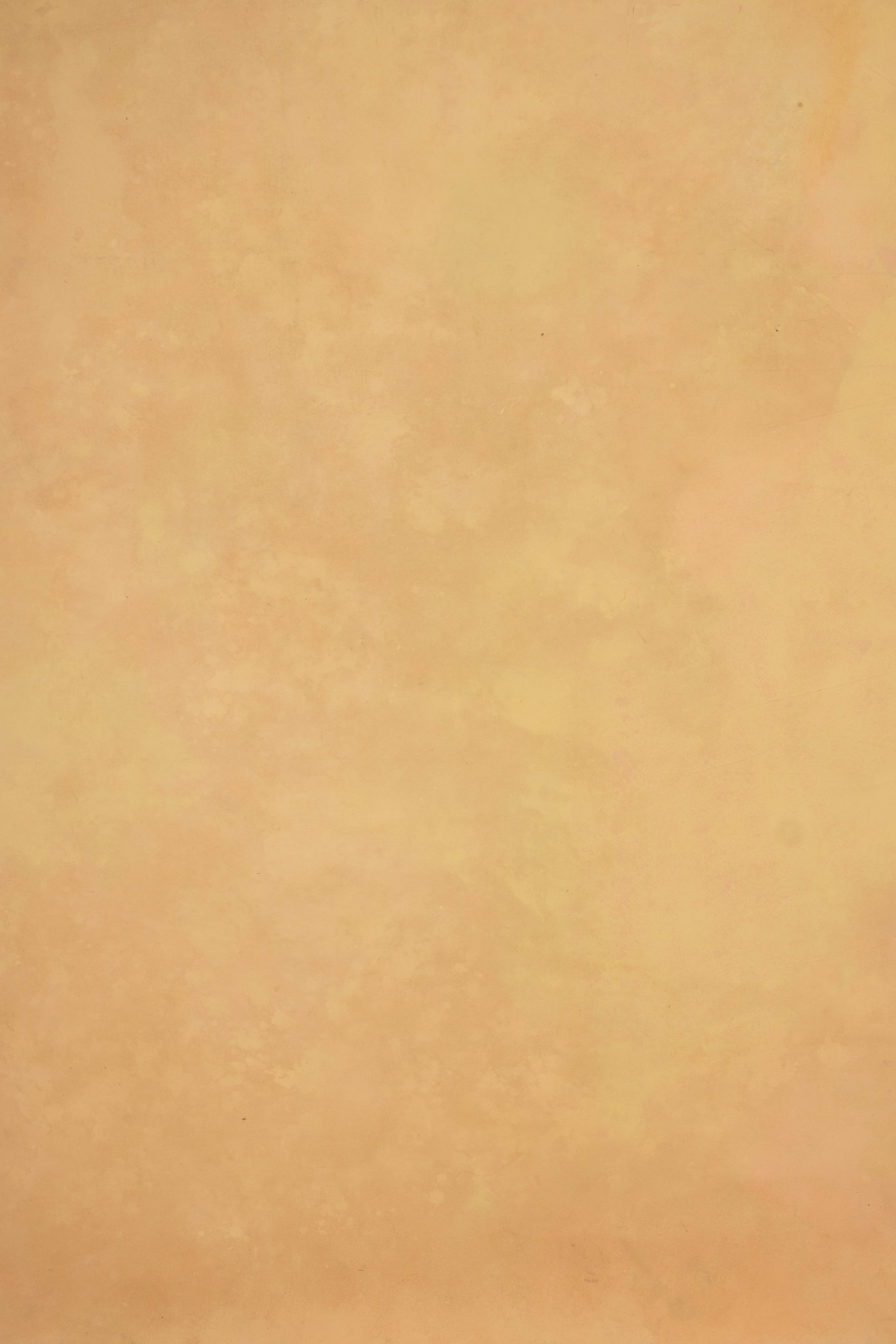 Sage Terra Canvas Backdrop (RN#358) view 6