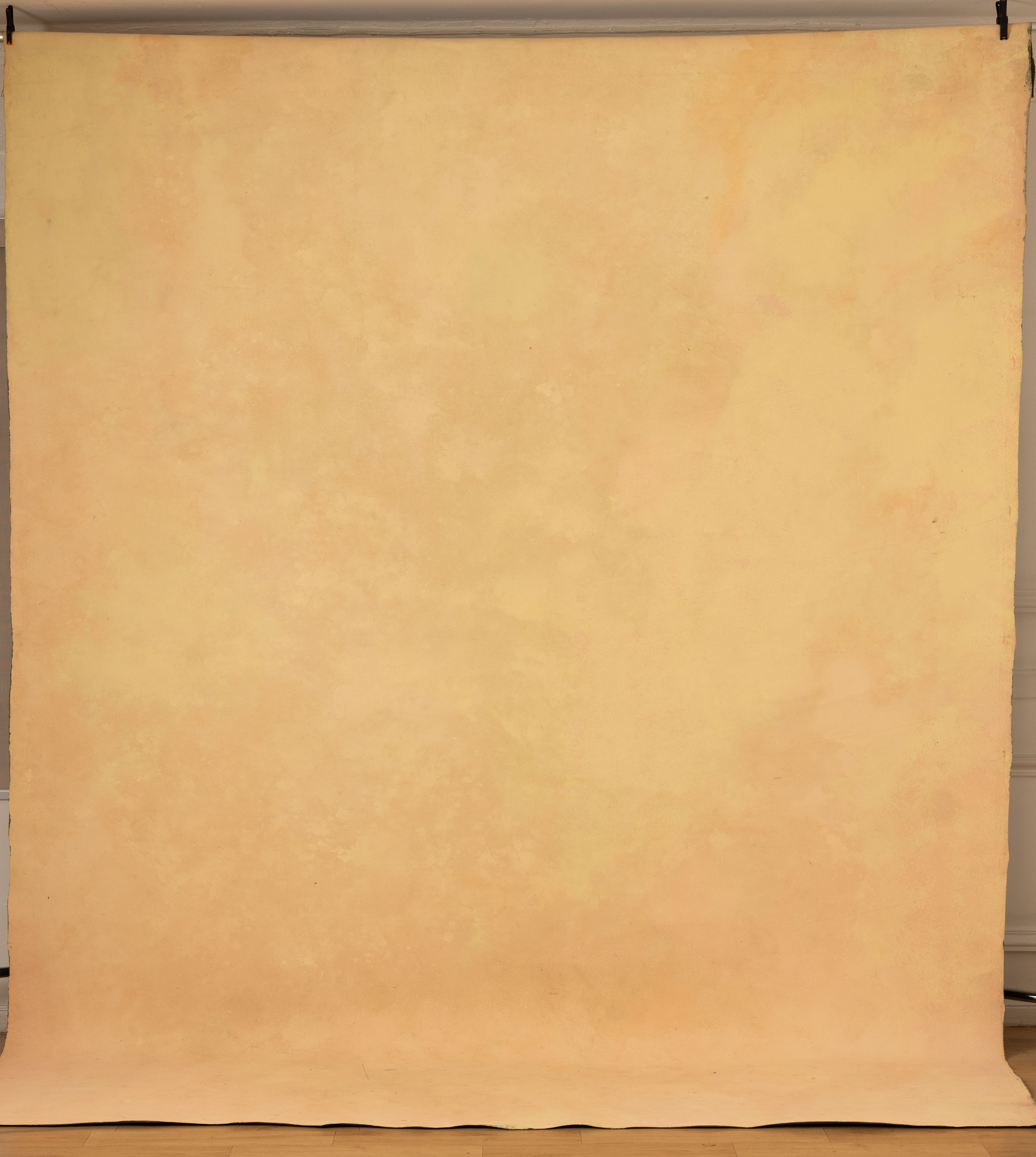 Sage Terra Canvas Backdrop (RN#358) view 7