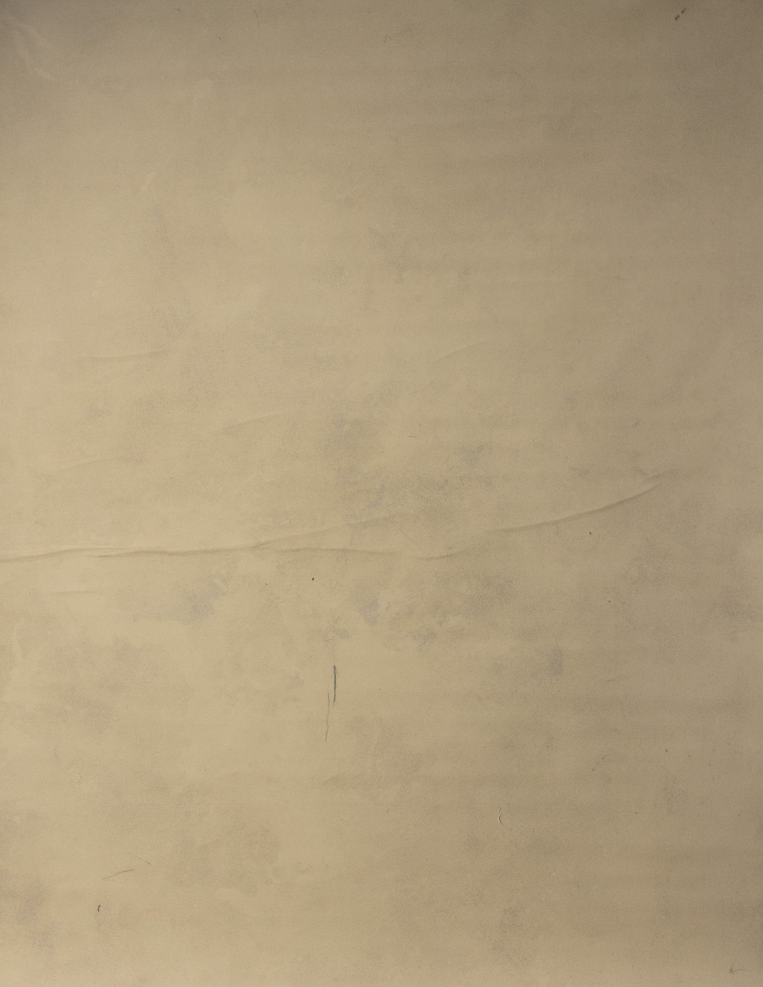 Faded Clay Canvas Backdrop (RN#222) view 4