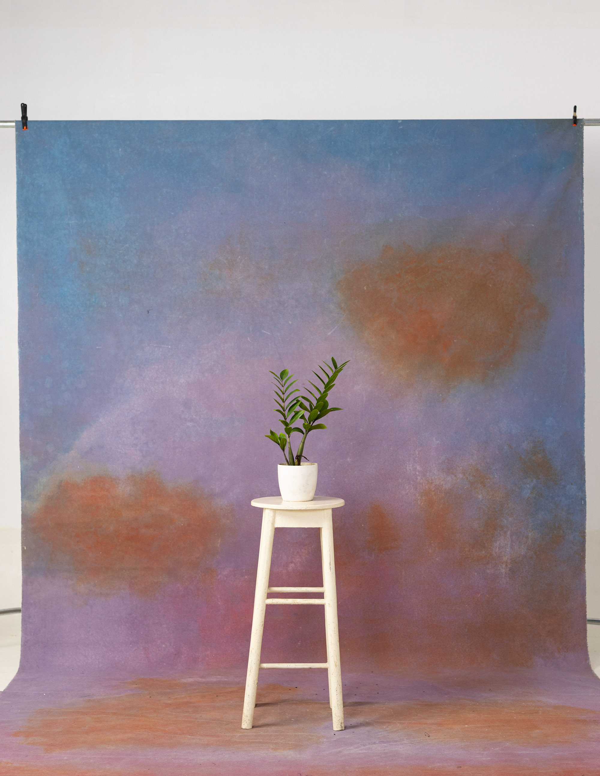 Bouquet Painted Canvas Backdrop (RN#134)