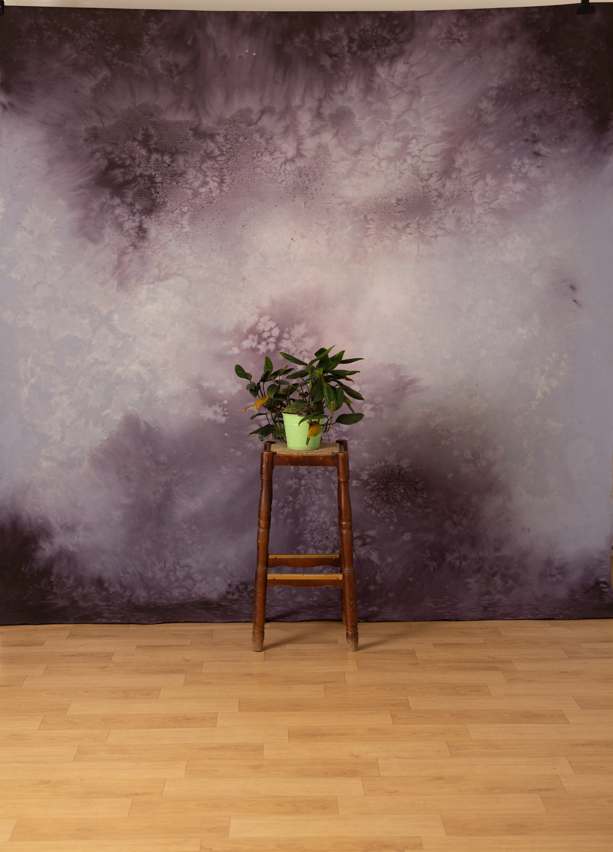 Lavender Veil Painted Canvas Backdrop (SL#484) view 2