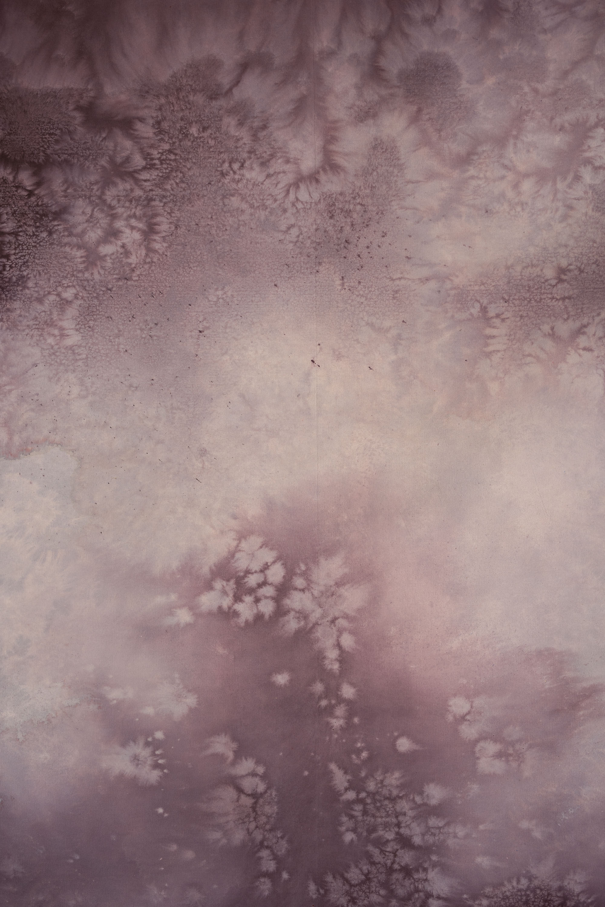 Lavender Veil Painted Canvas Backdrop (SL#484) view 3