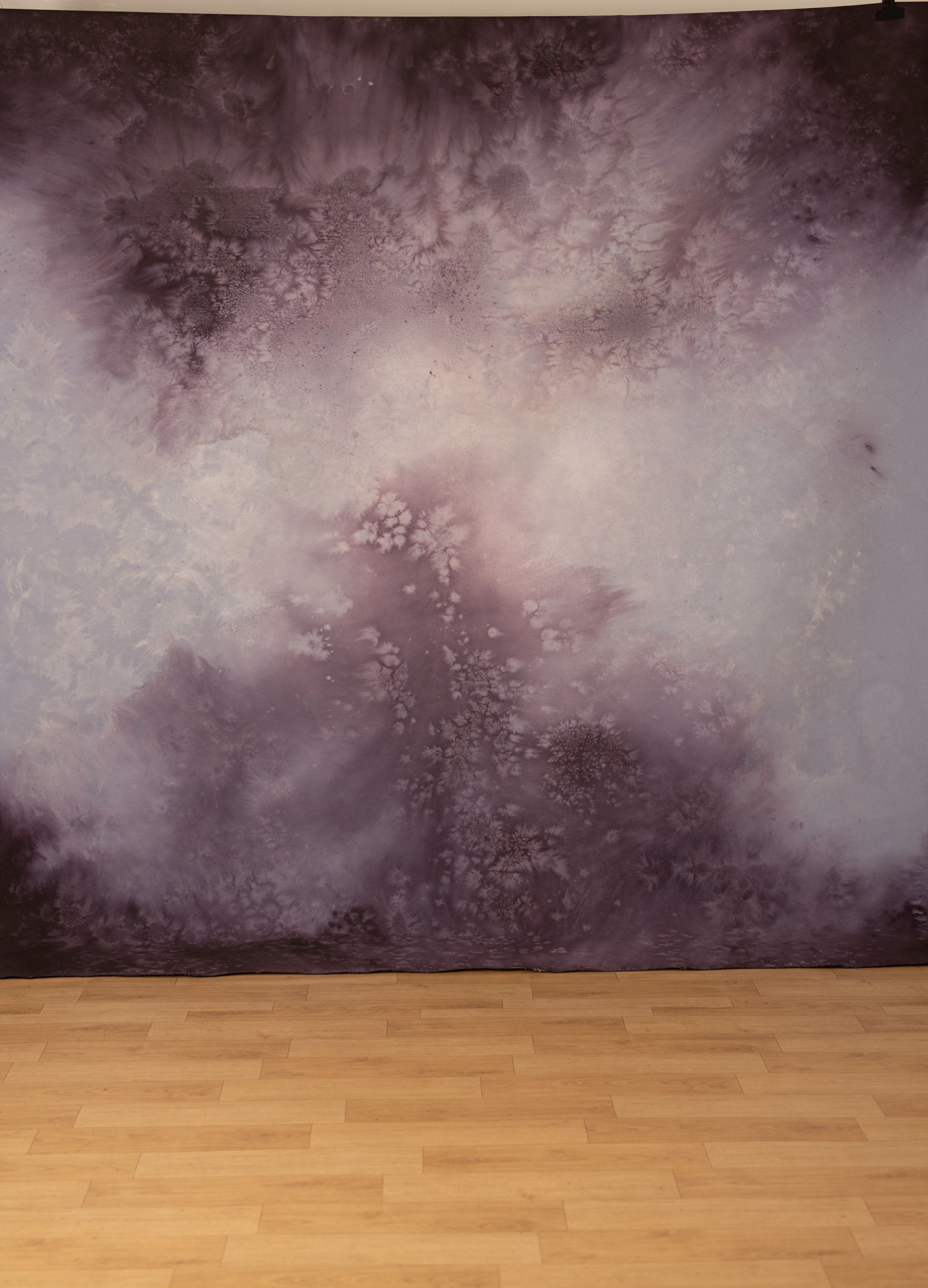 Lavender Veil Painted Canvas Backdrop (SL#484) view 4