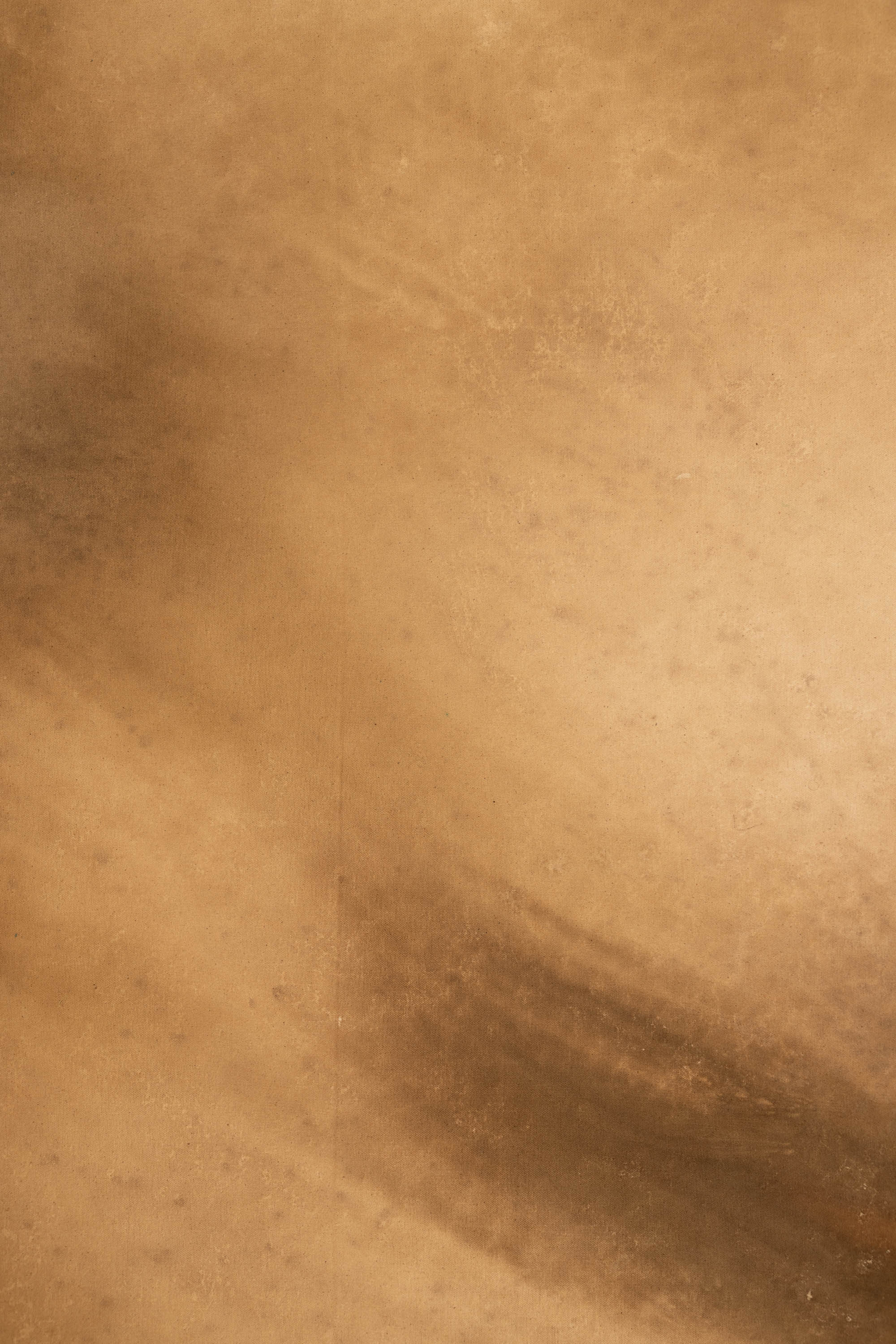 Brewed Earth Painted Canvas Backdrop (SL#483) view 3