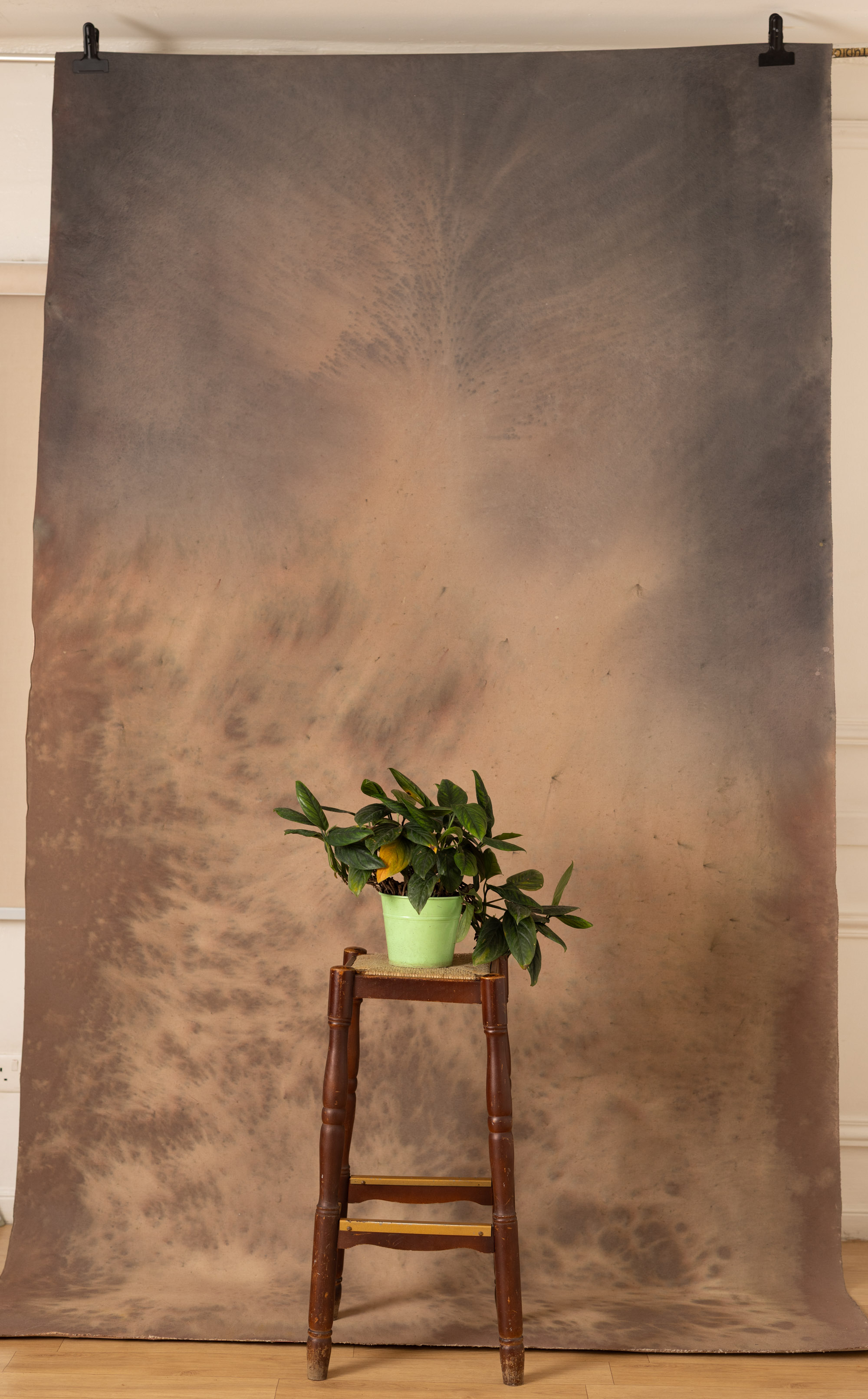 Ethereal Dust Painted Canvas Backdrop (RN#510) view 2