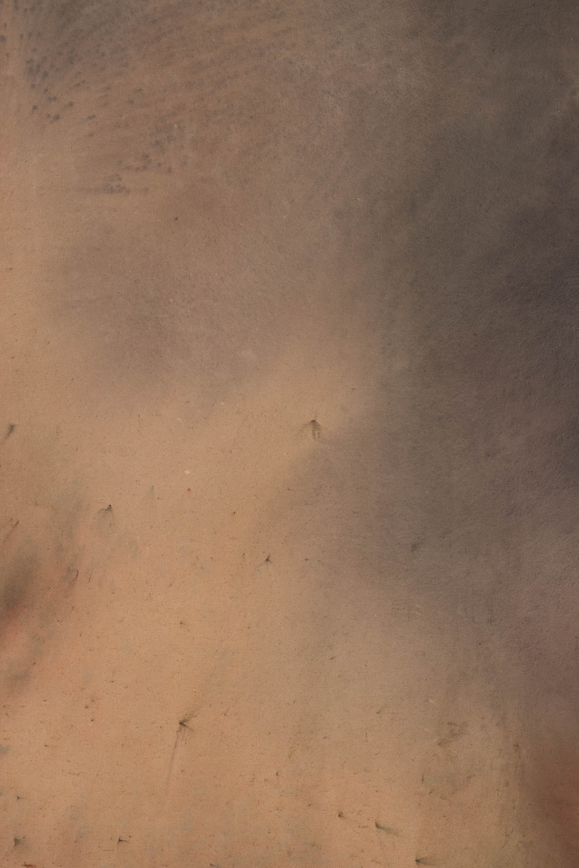 Ethereal Dust Painted Canvas Backdrop (RN#510) view 3