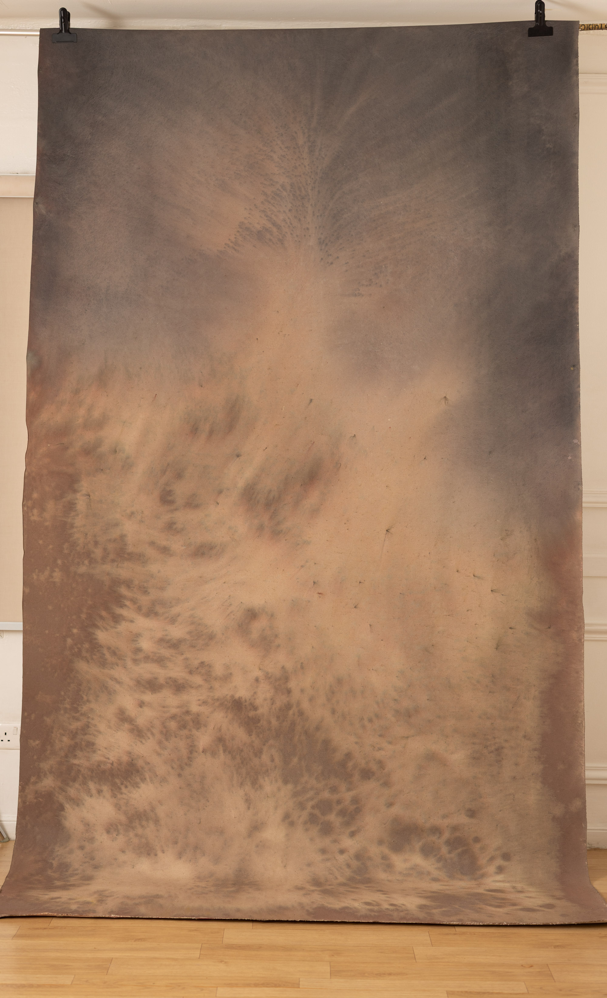 Ethereal Dust Painted Canvas Backdrop (RN#510) view 4