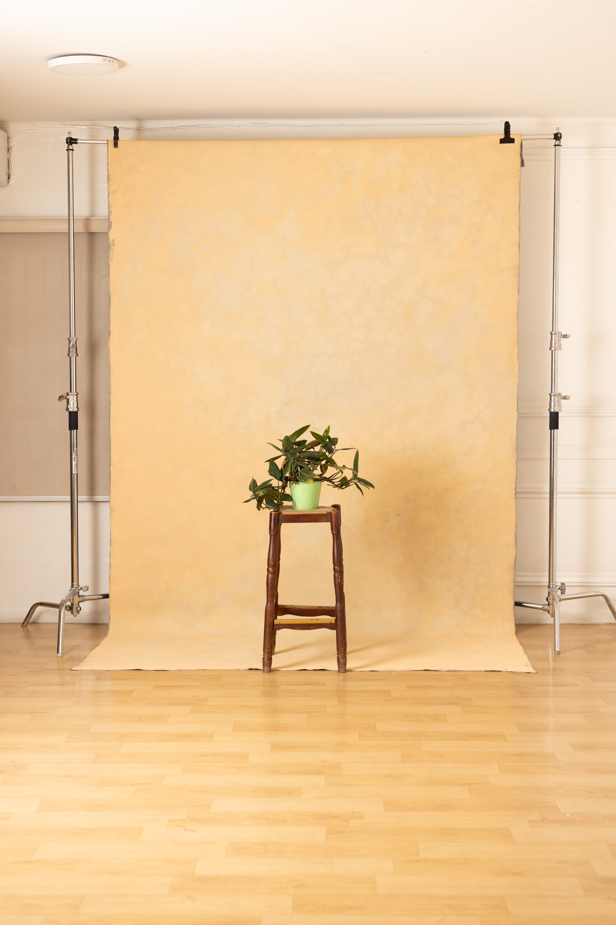 Smoked Coral Painted Canvas Backdrop (RN#511)