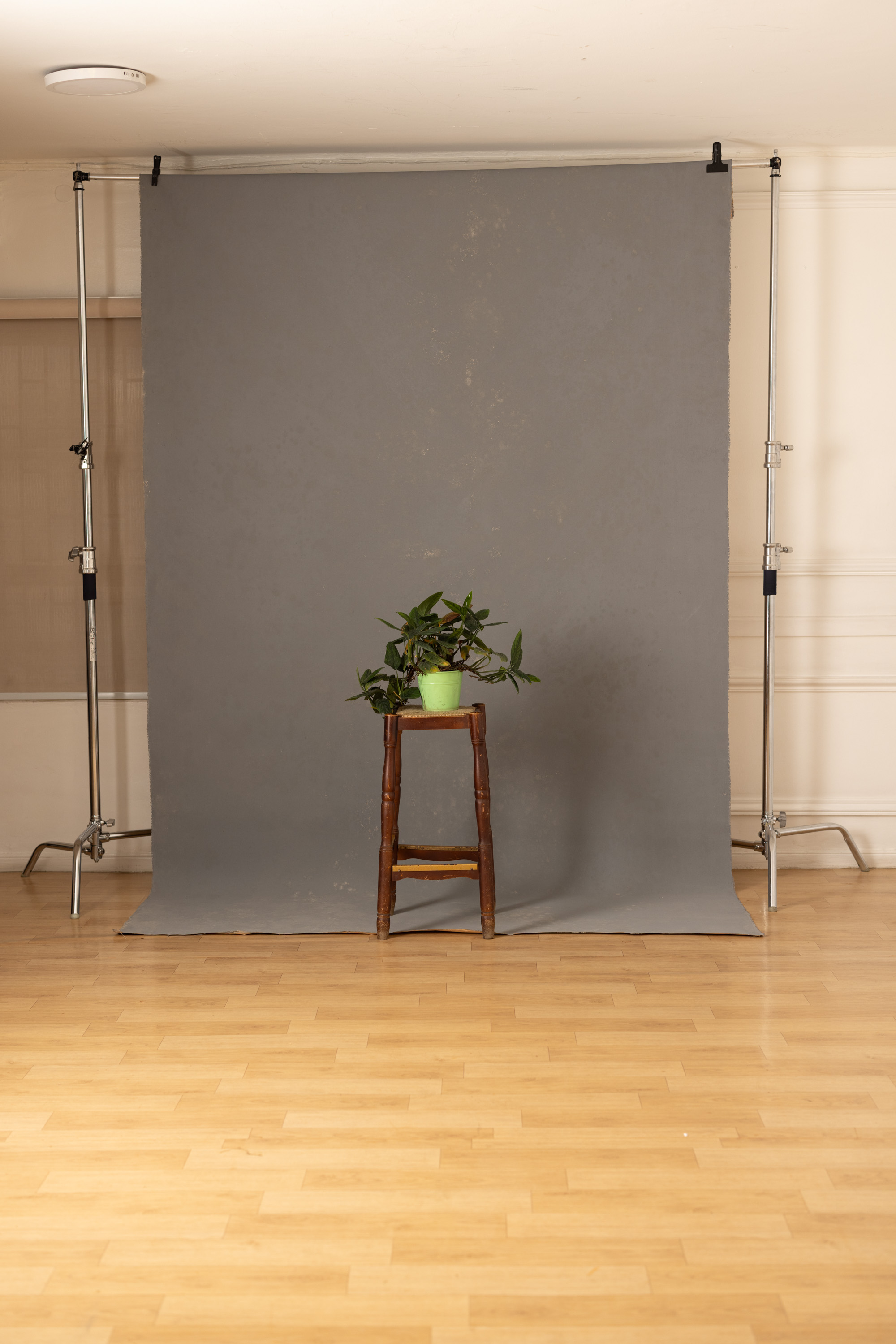 Smoked Coral Painted Canvas Backdrop (RN#511) view 4