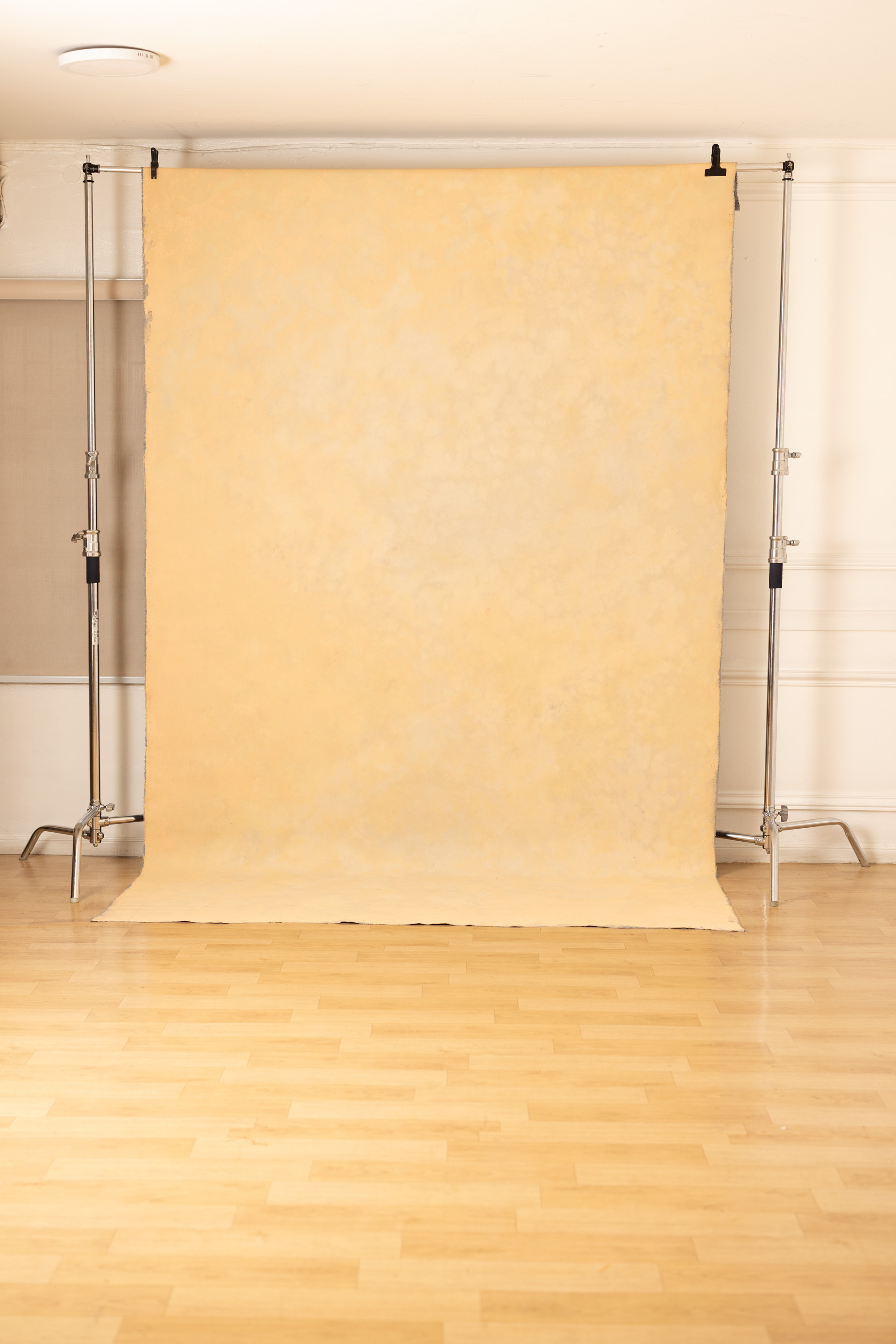 Smoked Coral Painted Canvas Backdrop (RN#511) view 5
