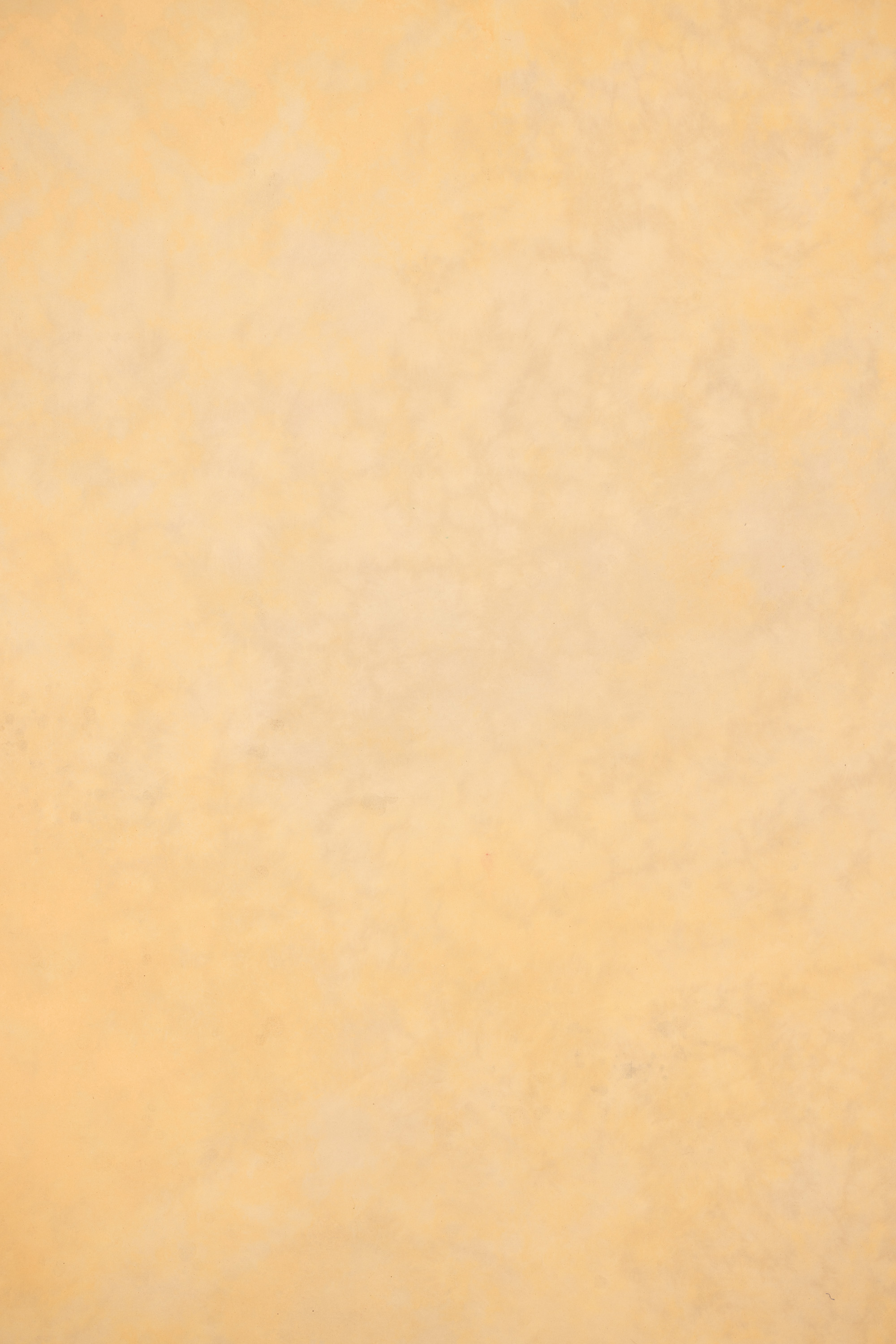 Smoked Coral Painted Canvas Backdrop (RN#511) view 6