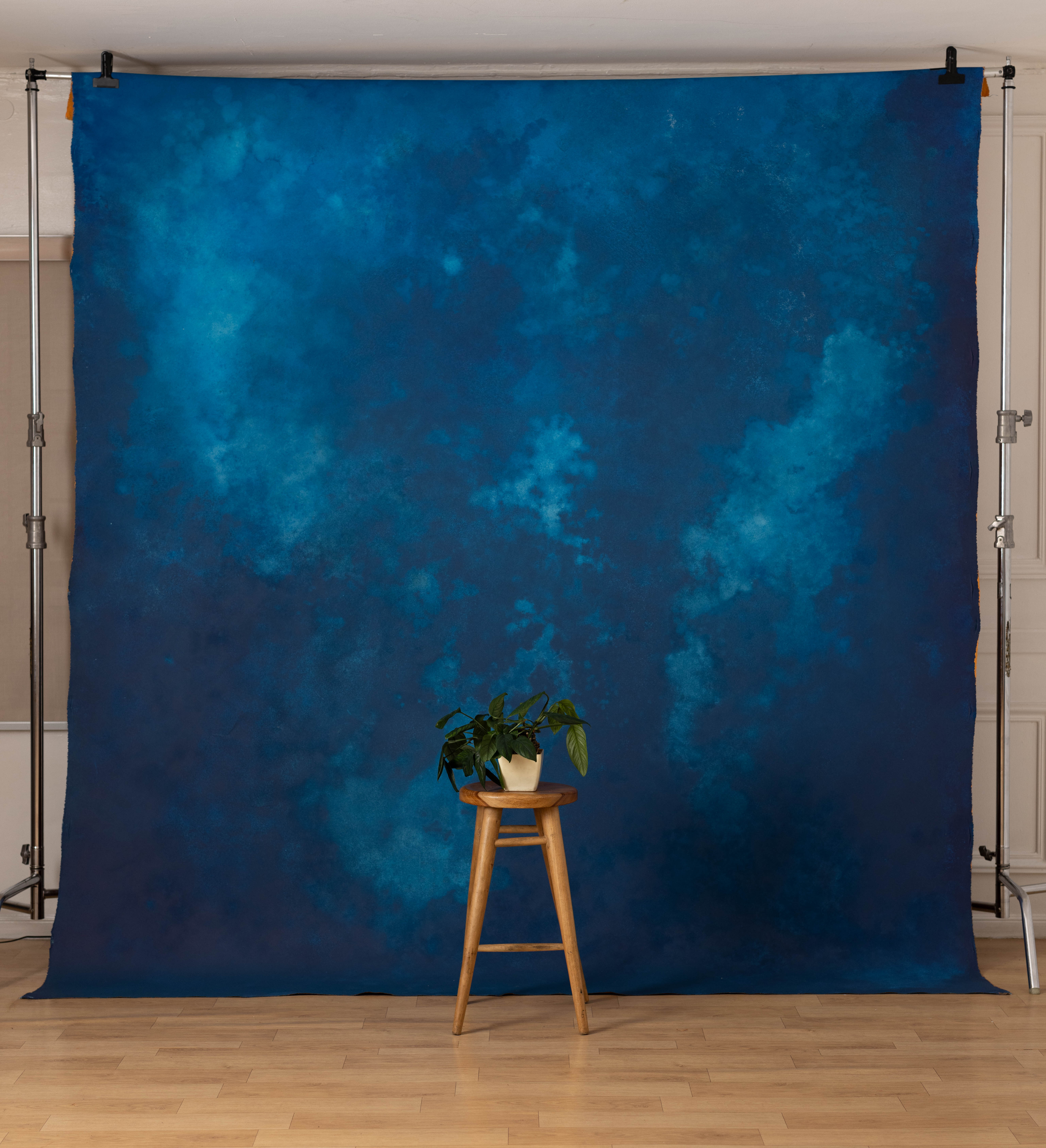 Nutmeg And Astronaut Blue Painted Canvas Backdrop (SL#466) view 2