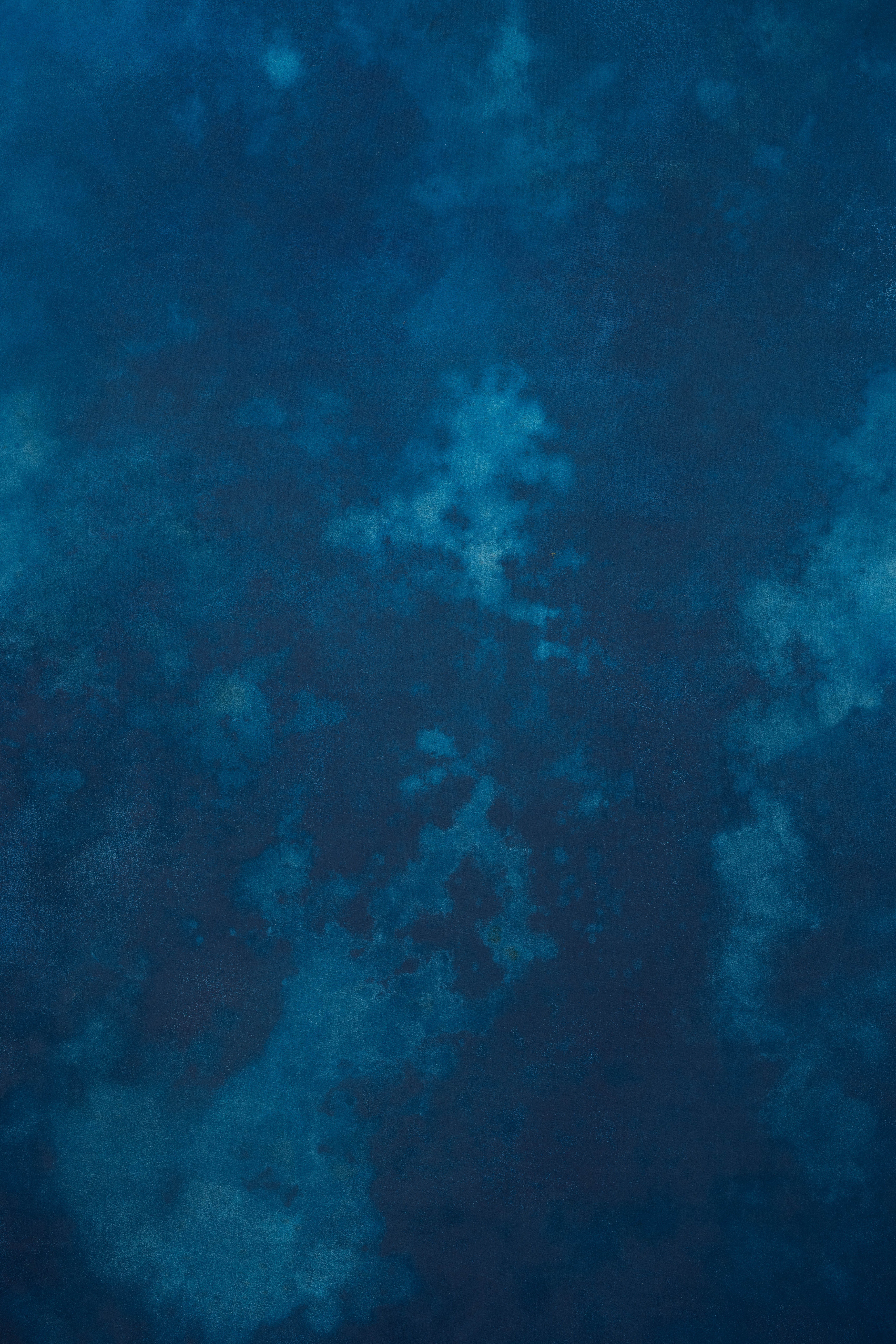 Nutmeg And Astronaut Blue Painted Canvas Backdrop (SL#466) view 3