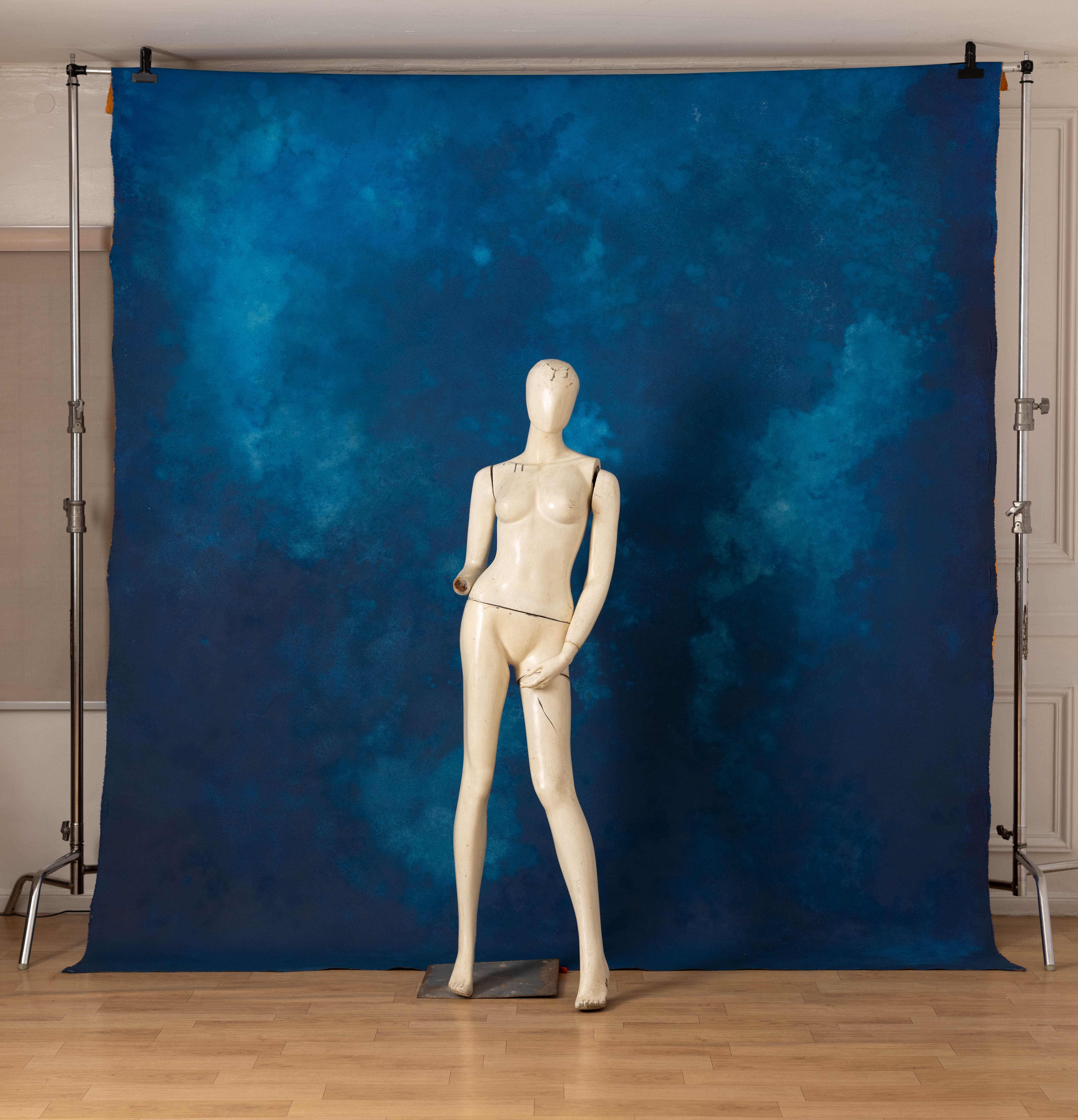 Nutmeg And Astronaut Blue Painted Canvas Backdrop (SL#466) view 4