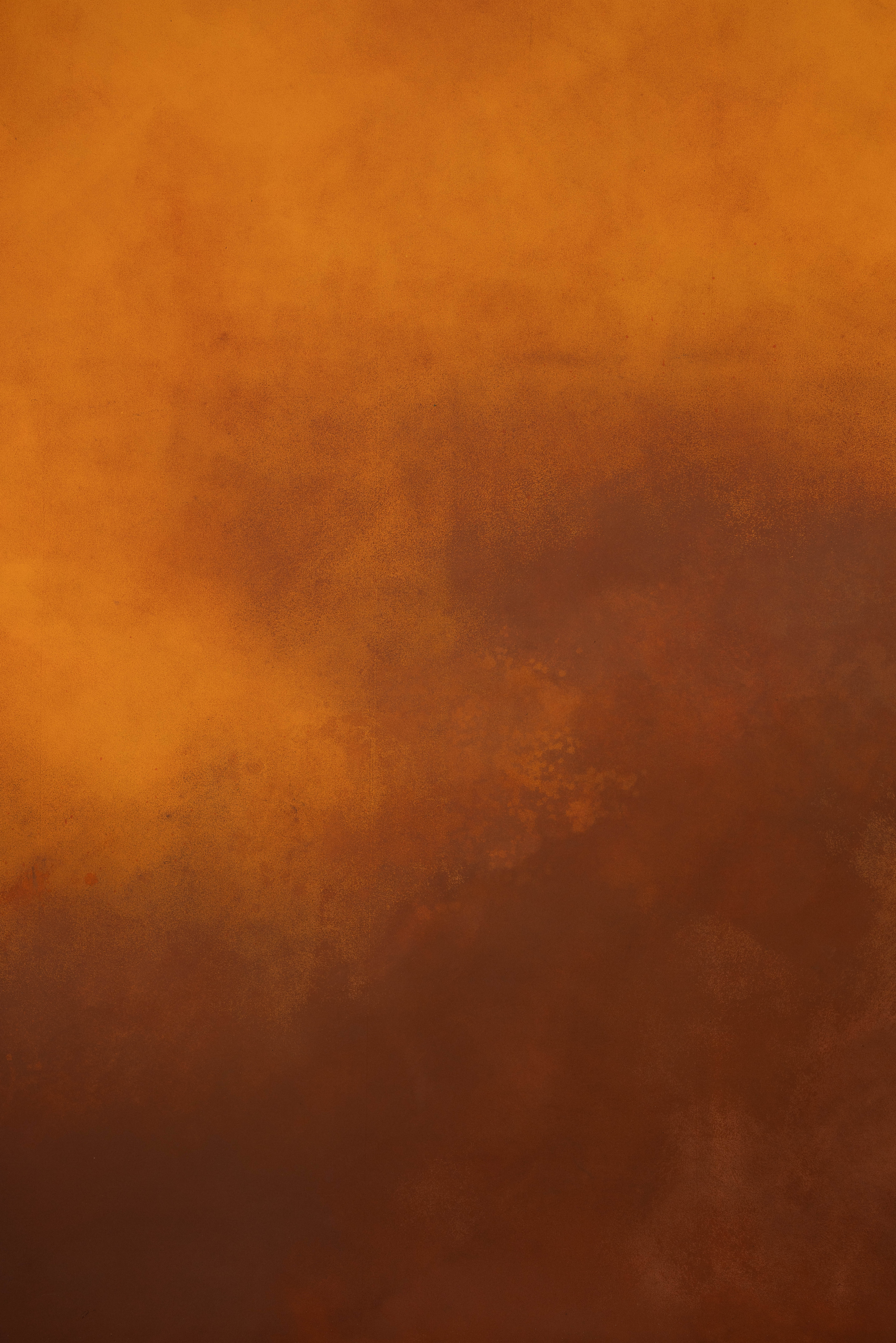 Nutmeg And Astronaut Blue Painted Canvas Backdrop (SL#466) view 7