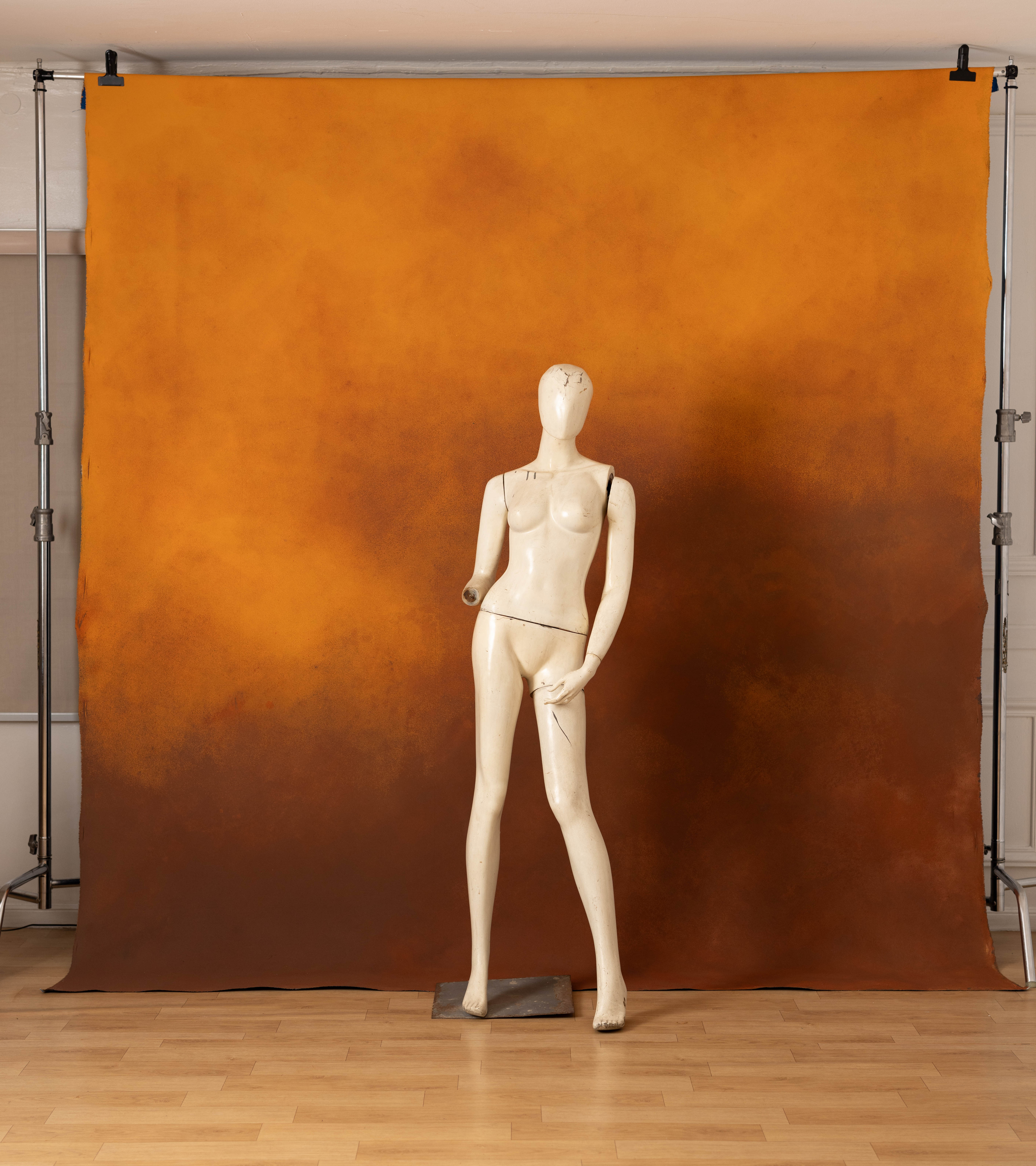Nutmeg And Astronaut Blue Painted Canvas Backdrop (SL#466) view 8