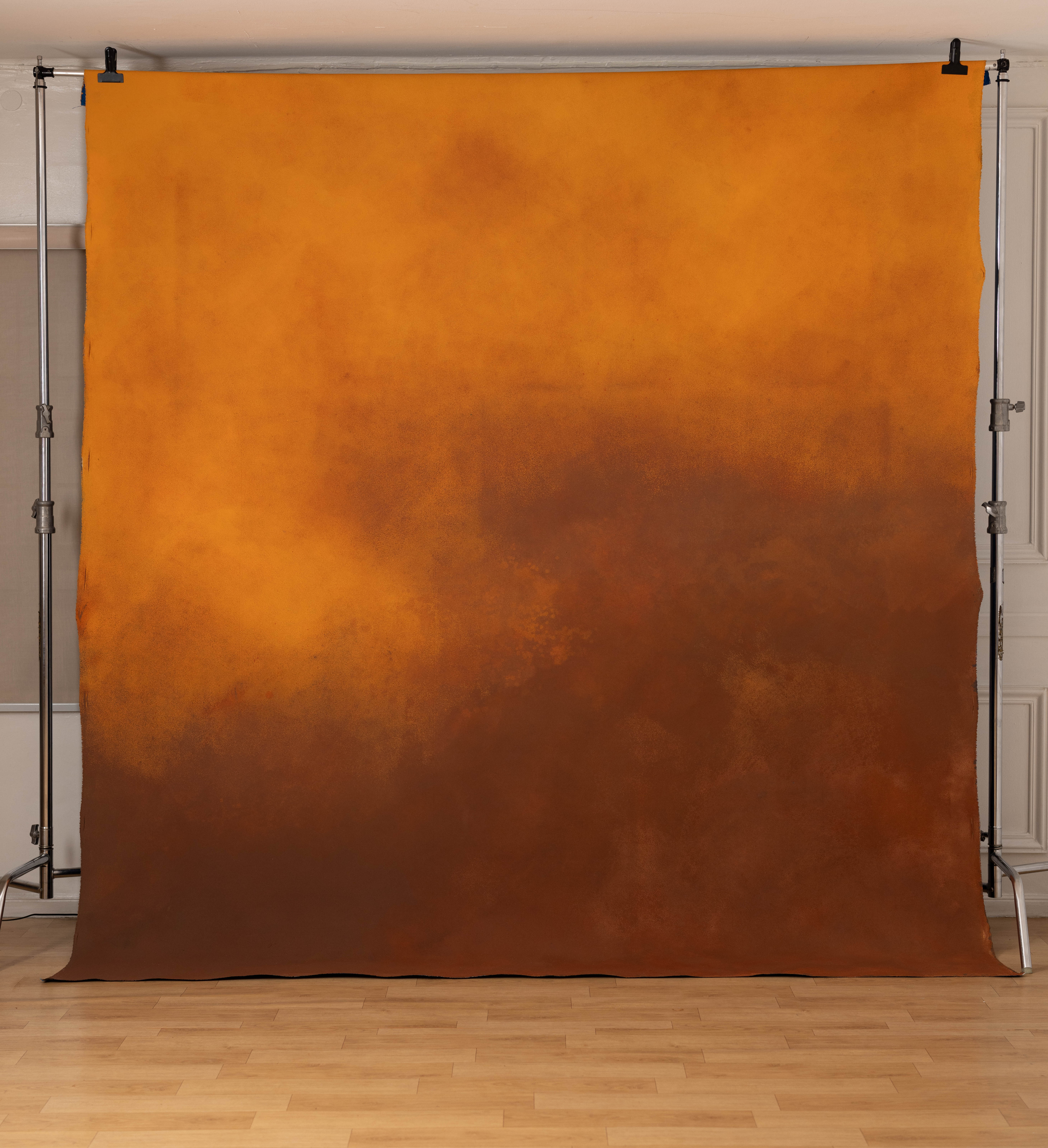 Nutmeg And Astronaut Blue Painted Canvas Backdrop (SL#466) view 9