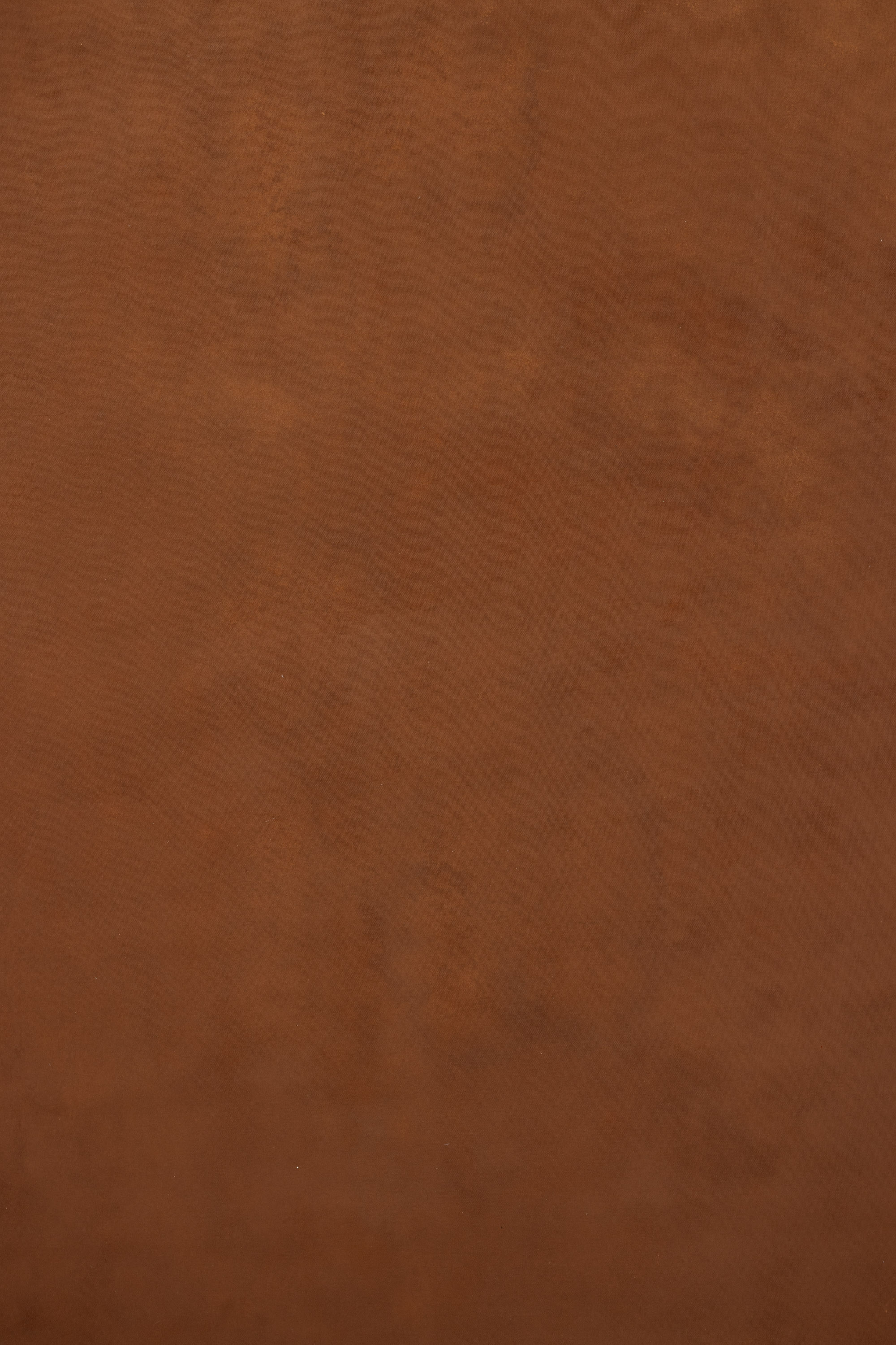 Pickled Bean Painted Canvas Backdrop (RN#505) view 3