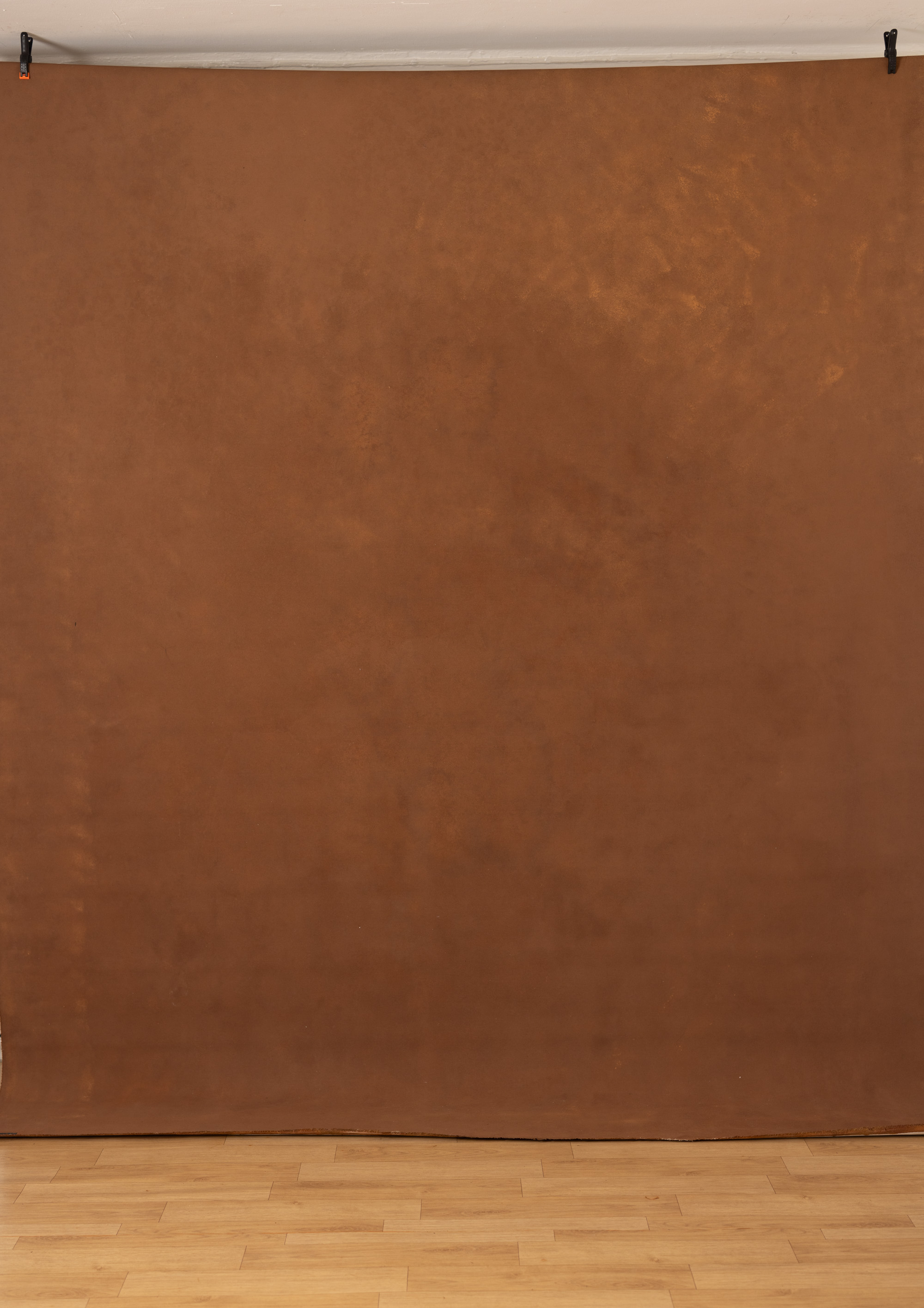 Pickled Bean Painted Canvas Backdrop (RN#505) view 4