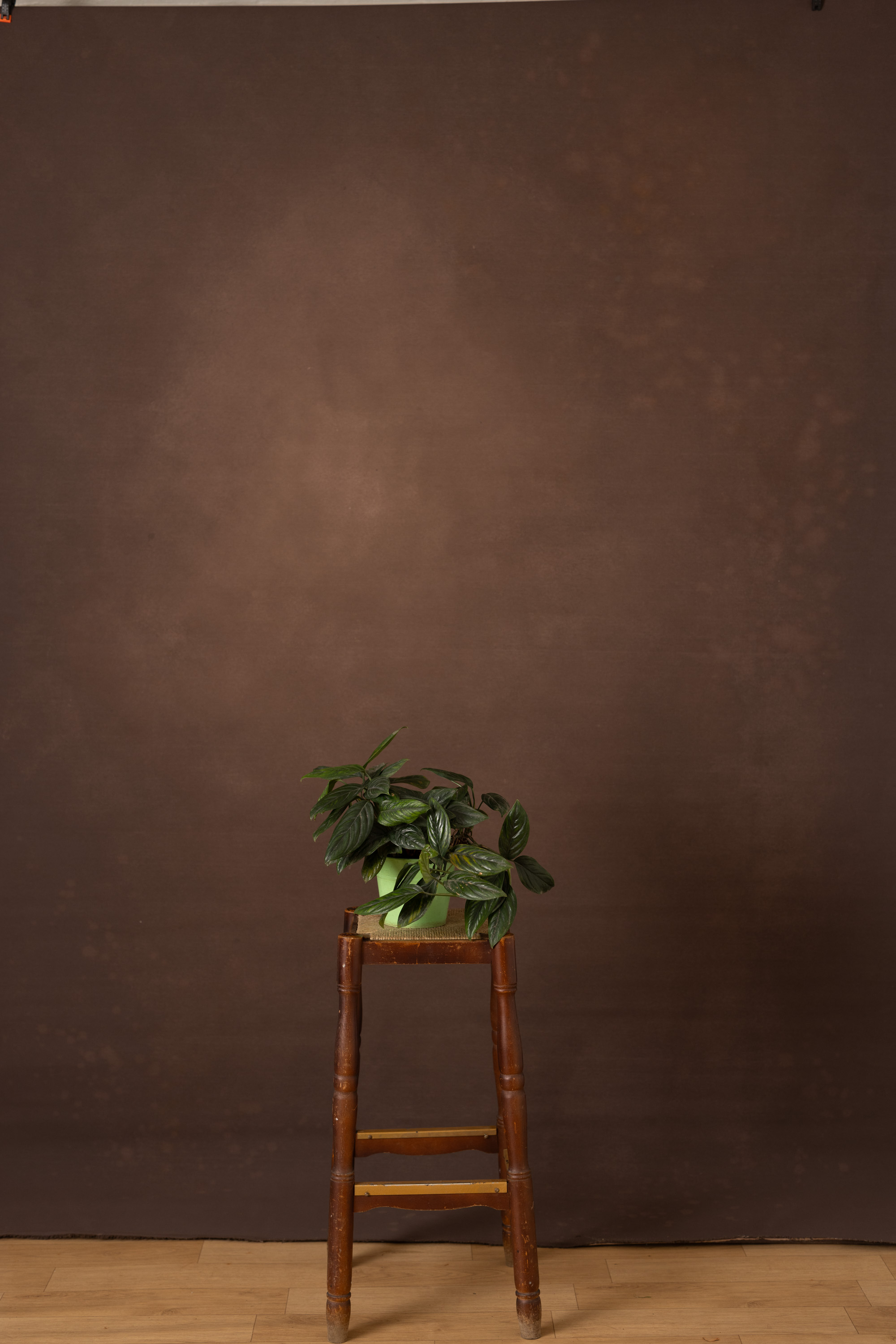English Walnut Painted Canvas Backdrop (RN#506) view 2