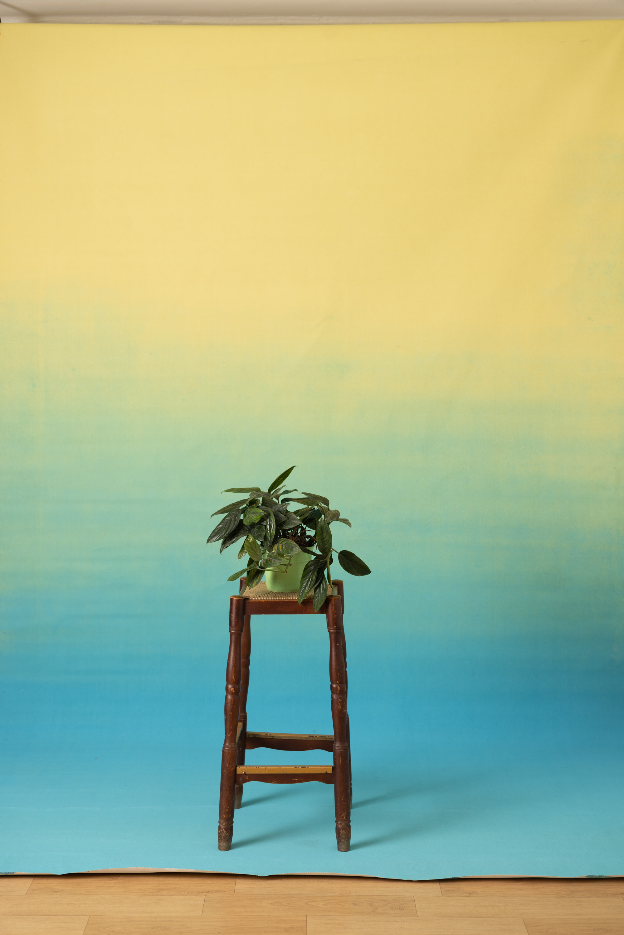 Dewhaven Painted Canvas Backdrop (RN#507) view 2
