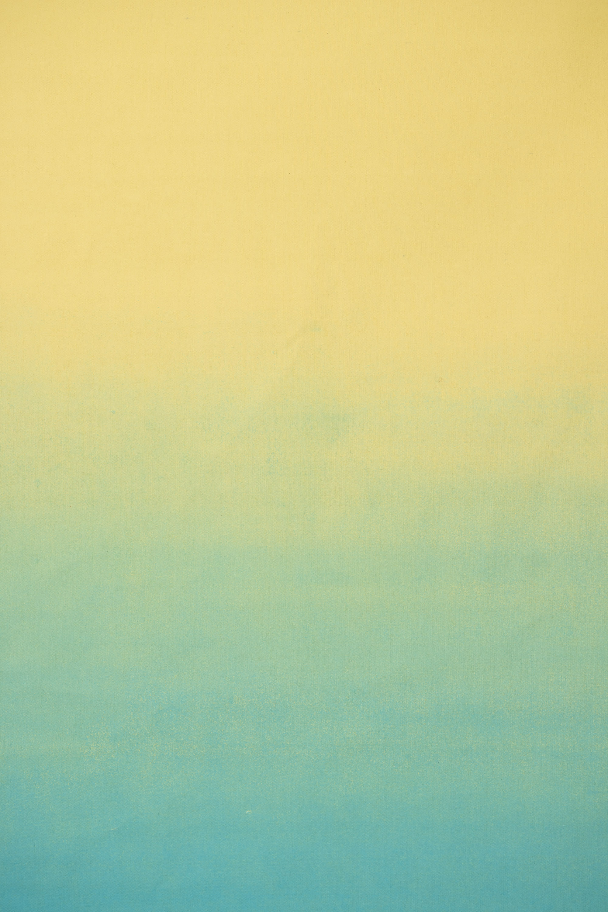 Dewhaven Painted Canvas Backdrop (RN#507) view 3