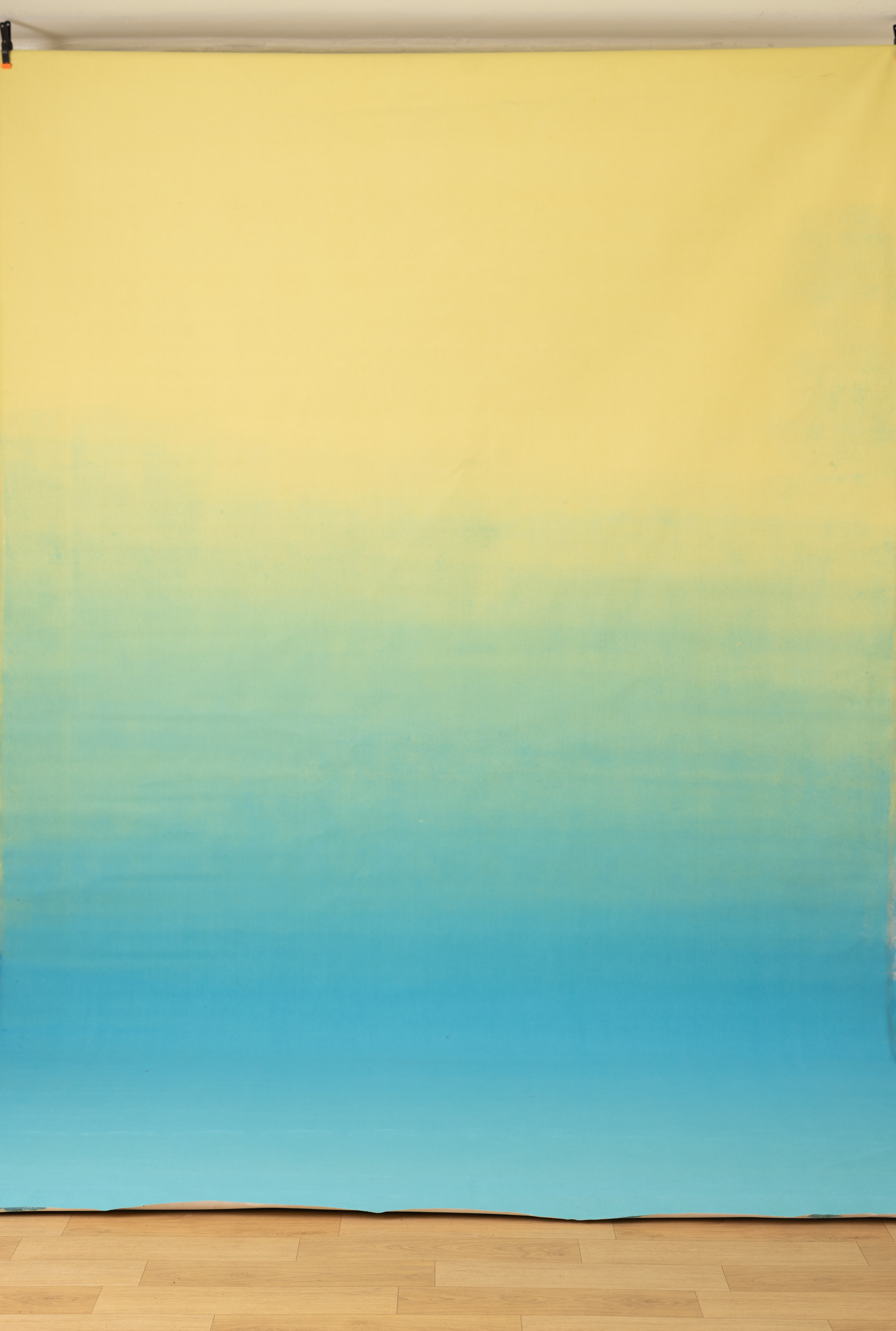 Dewhaven Painted Canvas Backdrop (RN#507) view 4