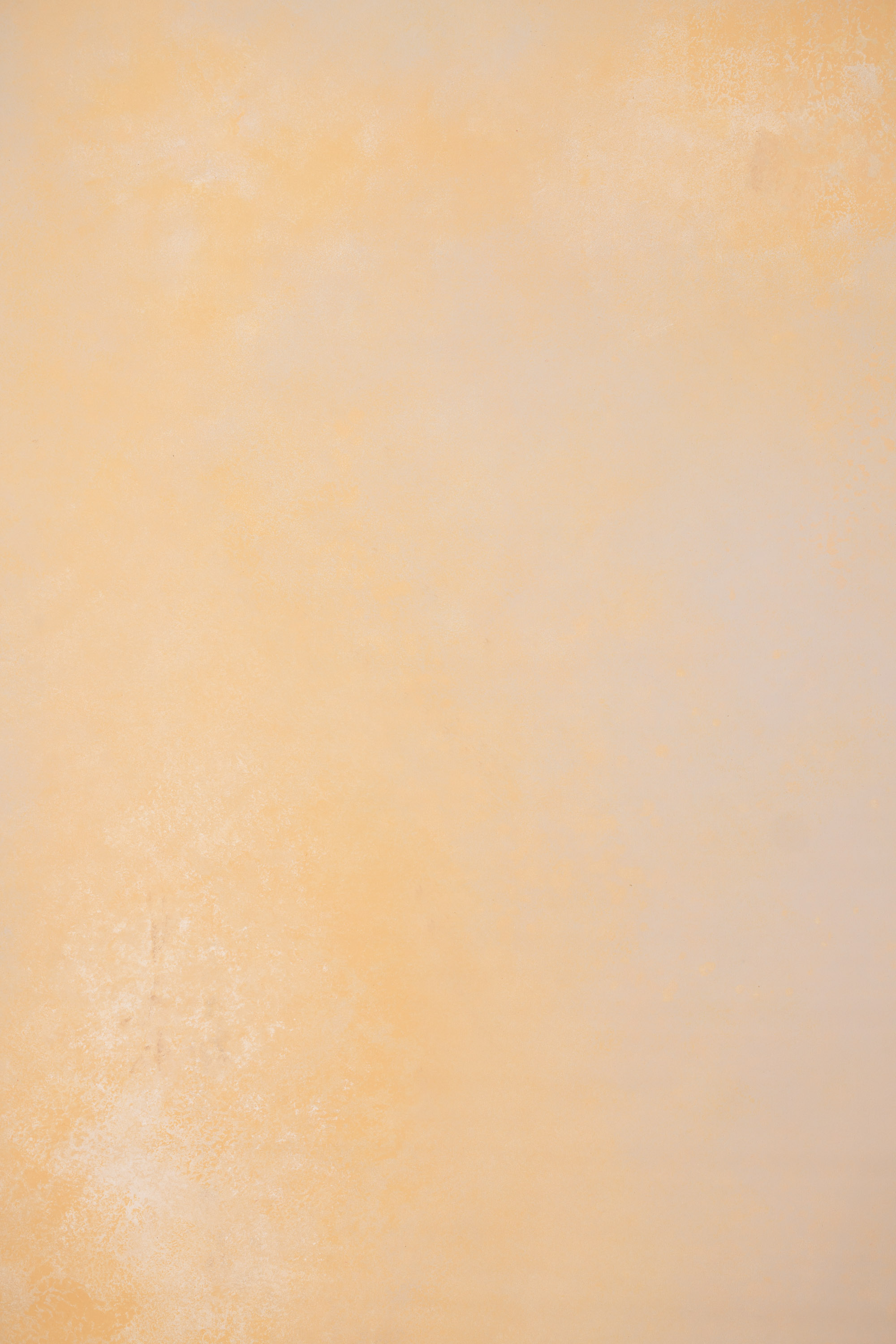 CongoBrown And Pavlova Painted Canvas Backdrop (RN#509) view 3