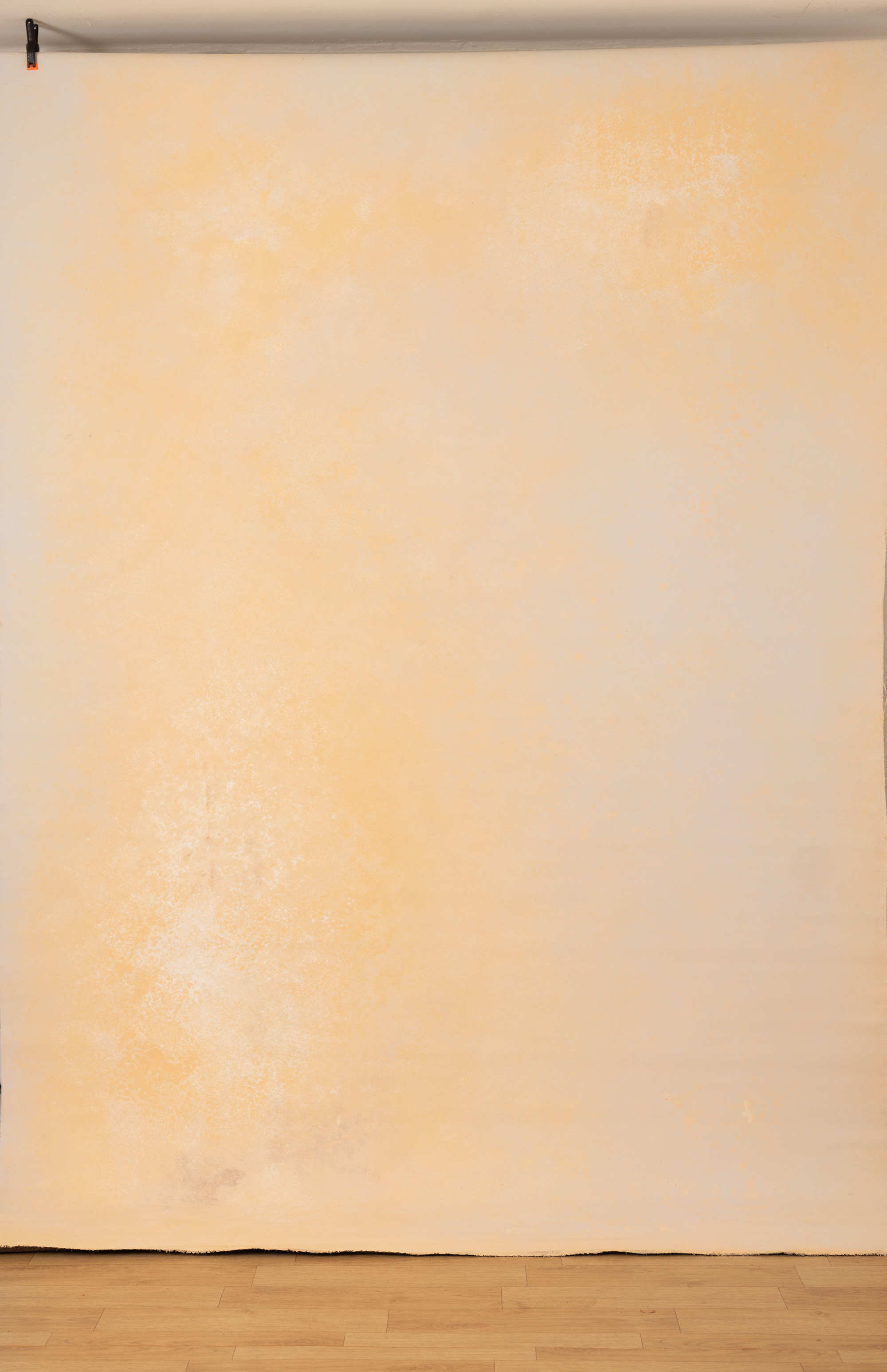 CongoBrown And Pavlova Painted Canvas Backdrop (RN#509) view 4