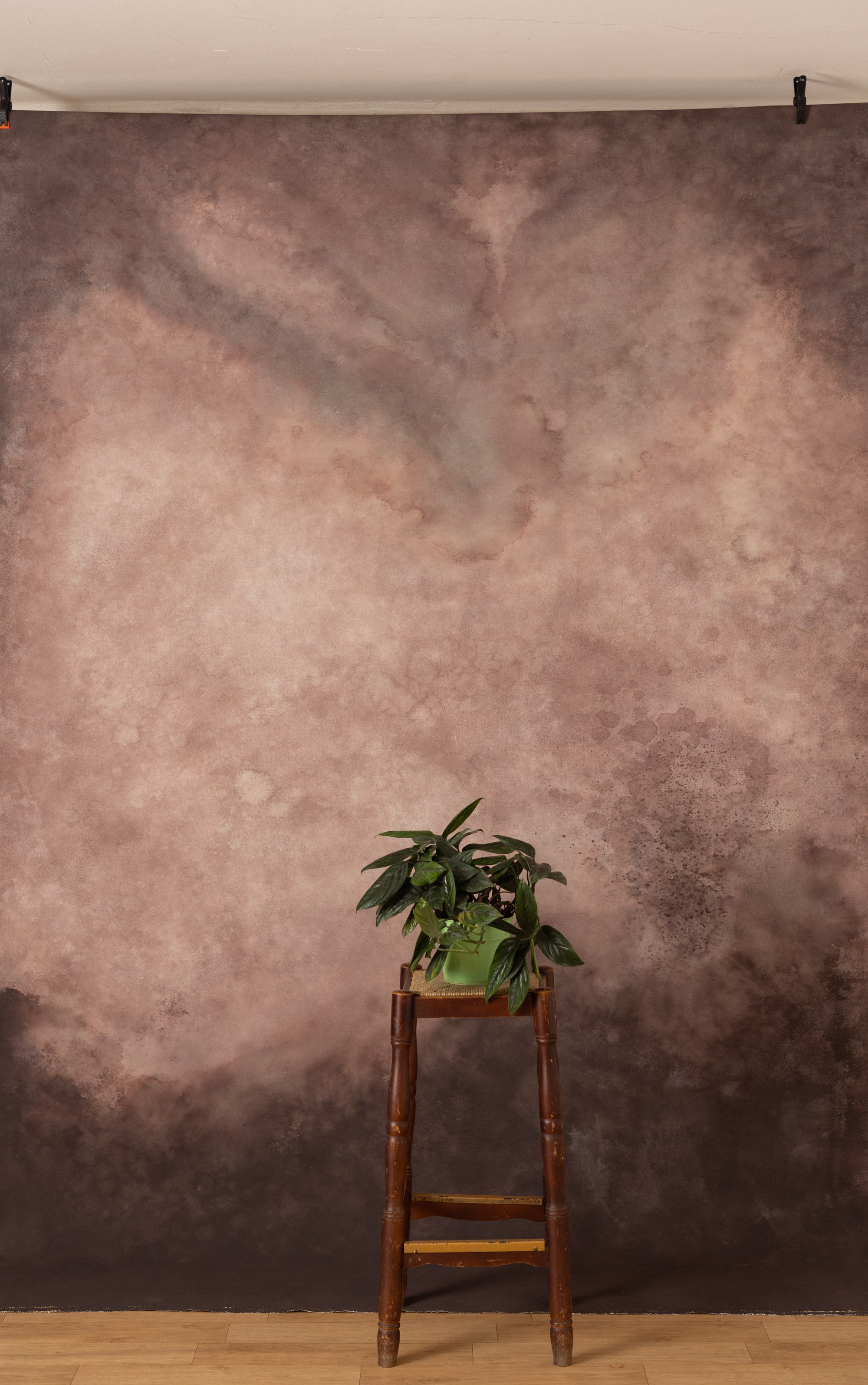 CongoBrown And Pavlova Painted Canvas Backdrop (RN#509) view 5