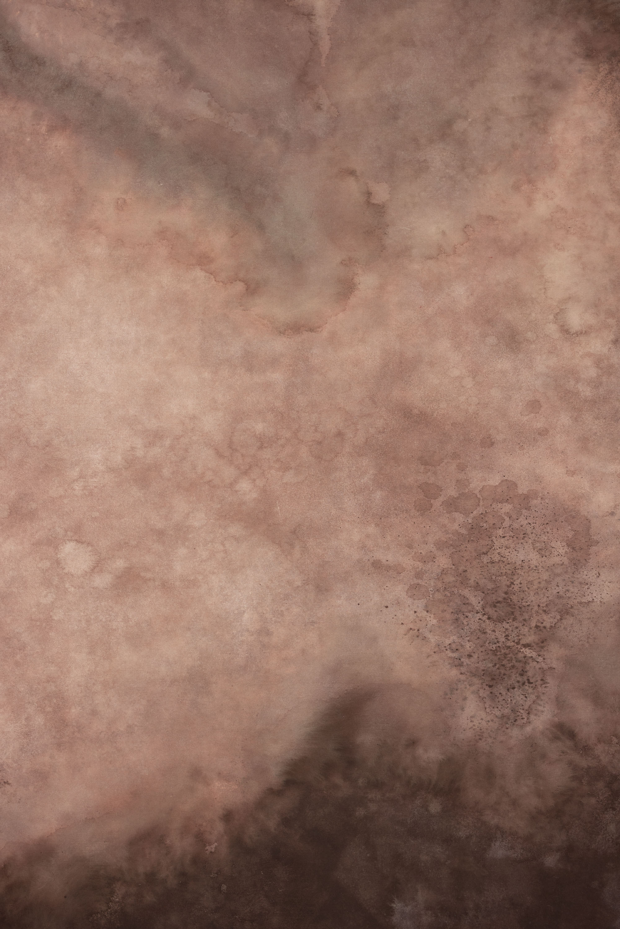 CongoBrown And Pavlova Painted Canvas Backdrop (RN#509) view 6