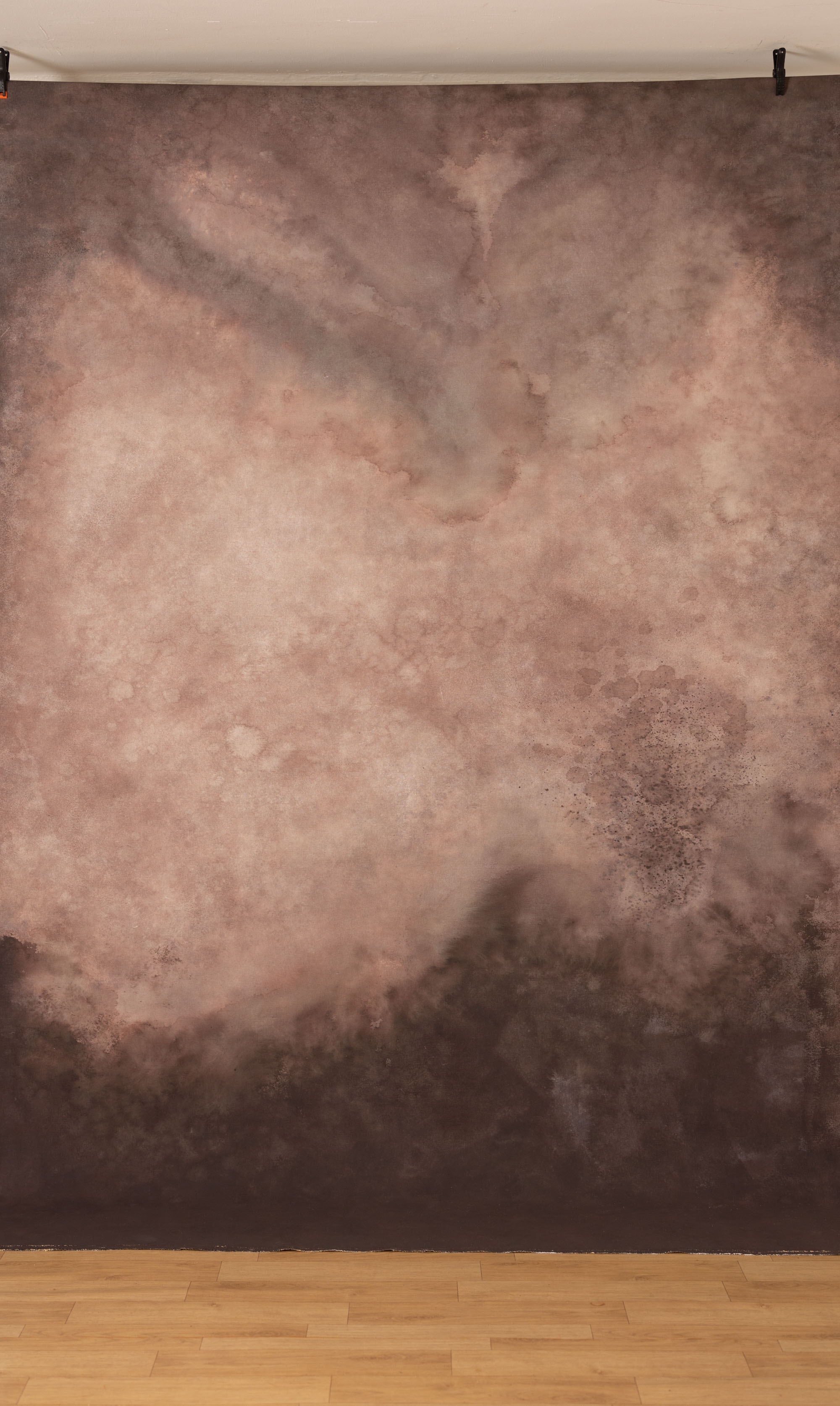 CongoBrown And Pavlova Painted Canvas Backdrop (RN#509) view 7