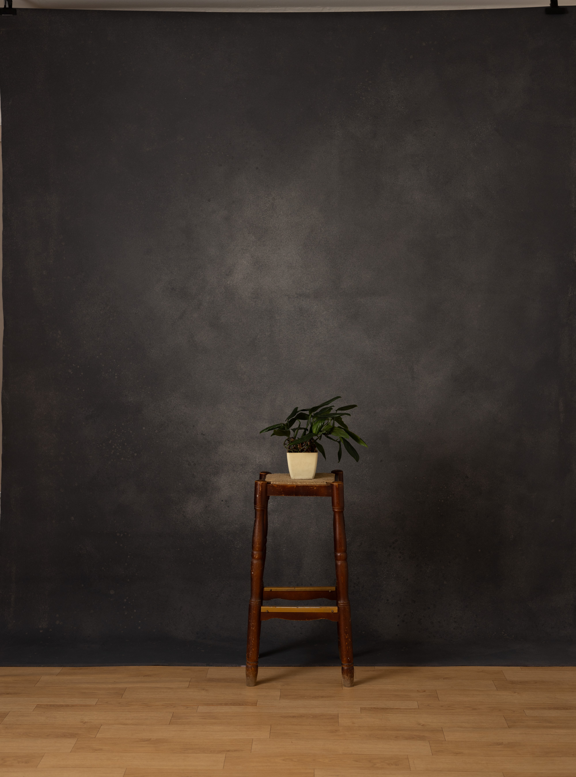 BlackEel And Venus Painted Canvas Backdrop (SL#491)