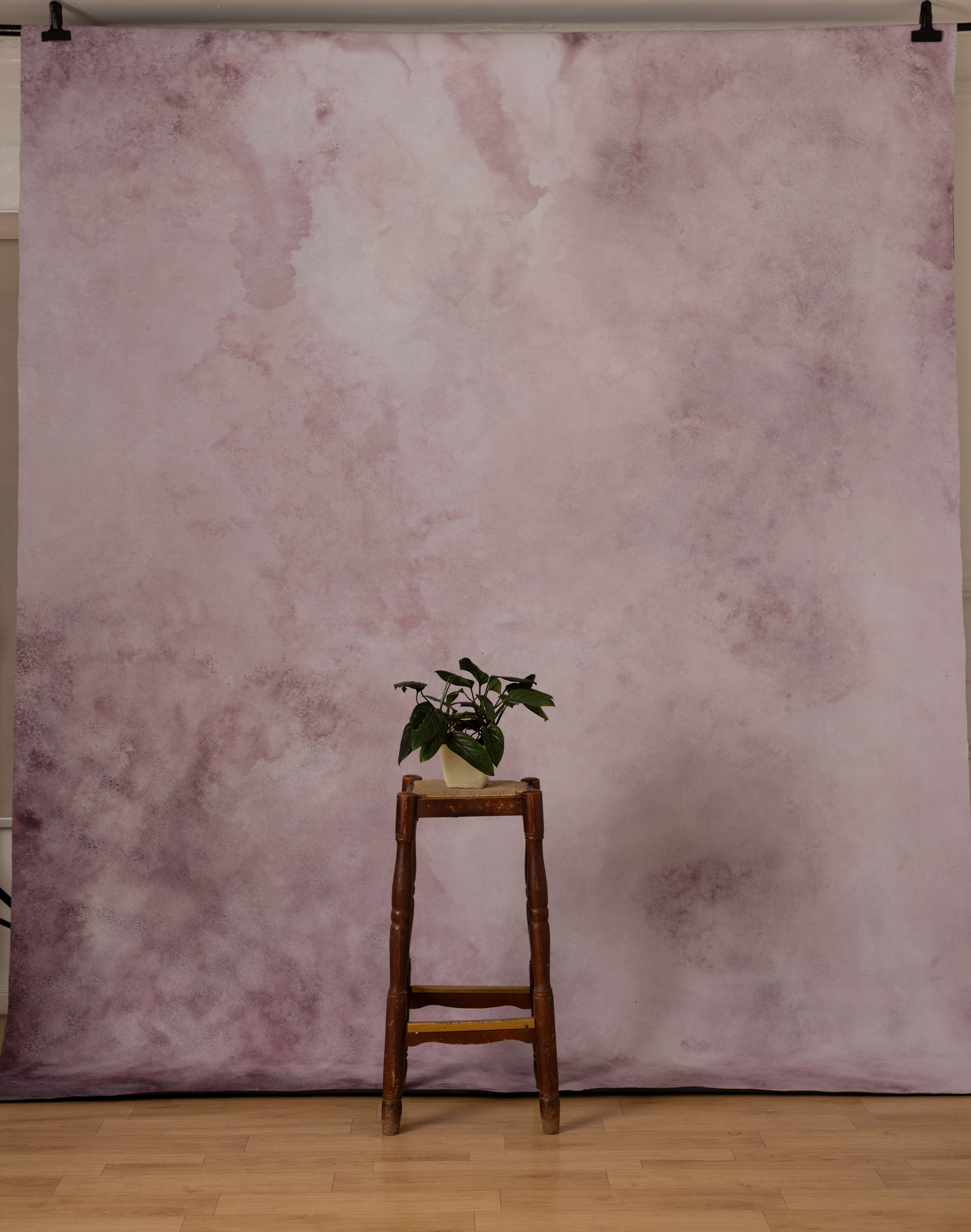 BlackEel And Venus Painted Canvas Backdrop (SL#491) view 2