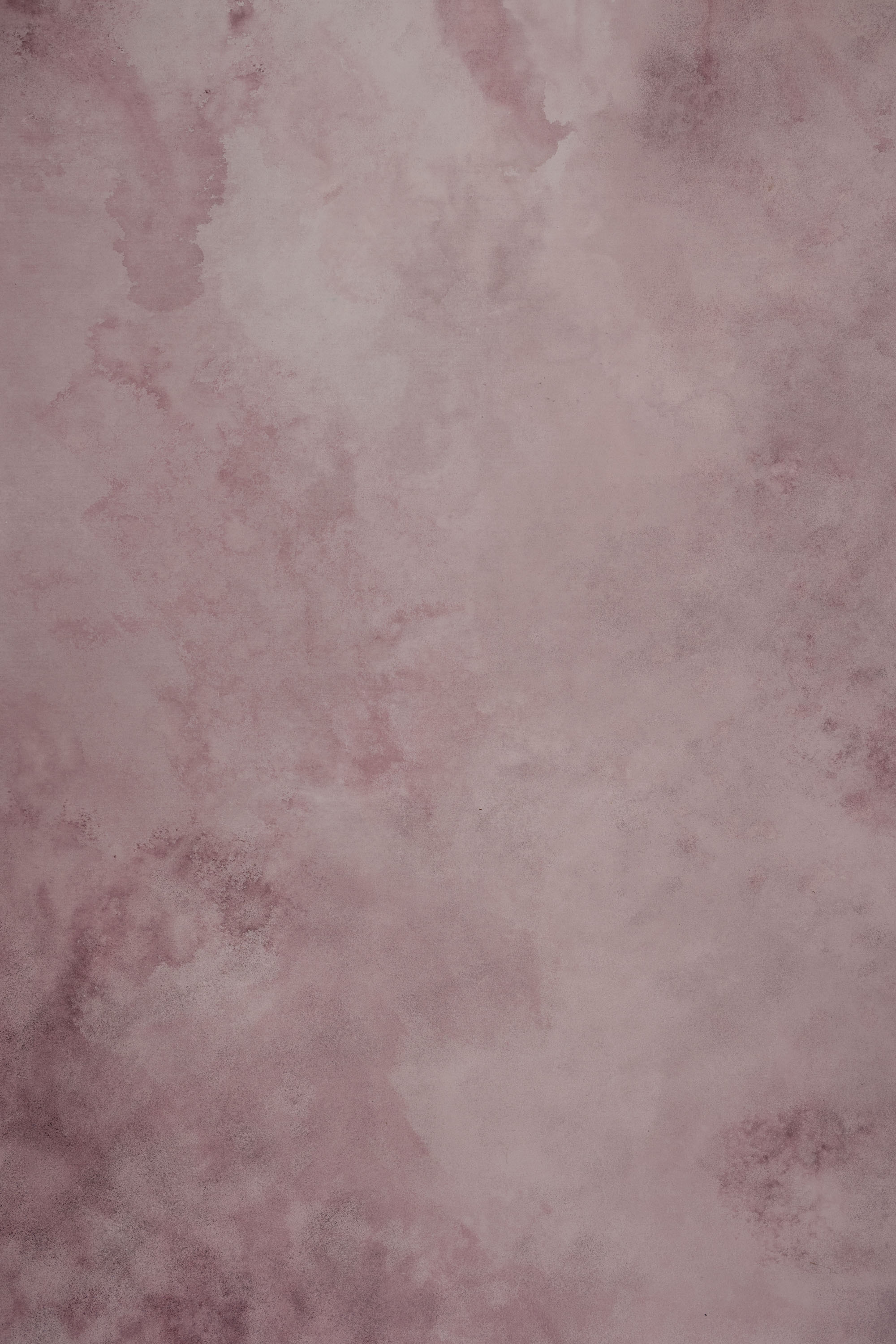BlackEel And Venus Painted Canvas Backdrop (SL#491) view 3
