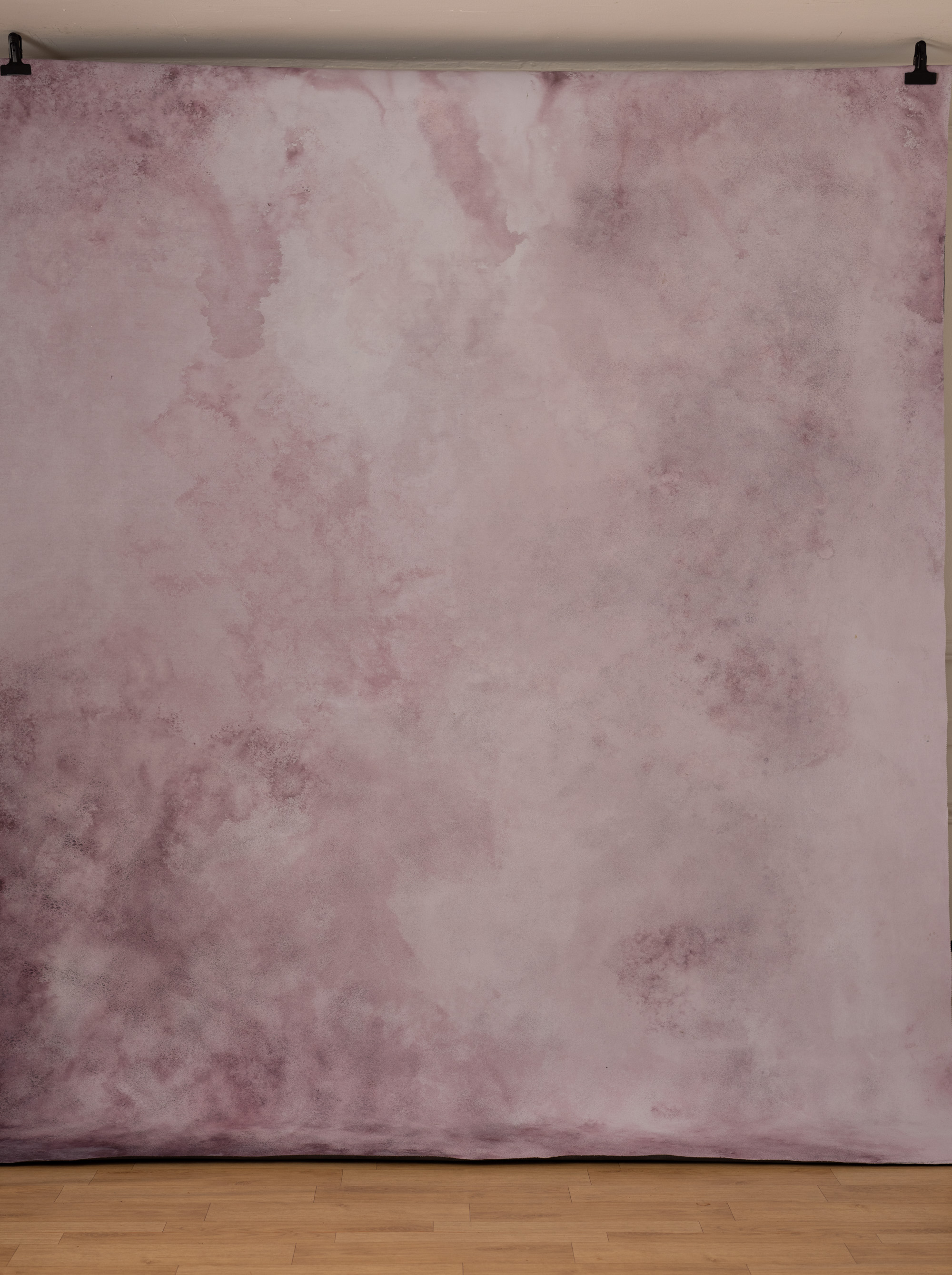 BlackEel And Venus Painted Canvas Backdrop (SL#491) view 4
