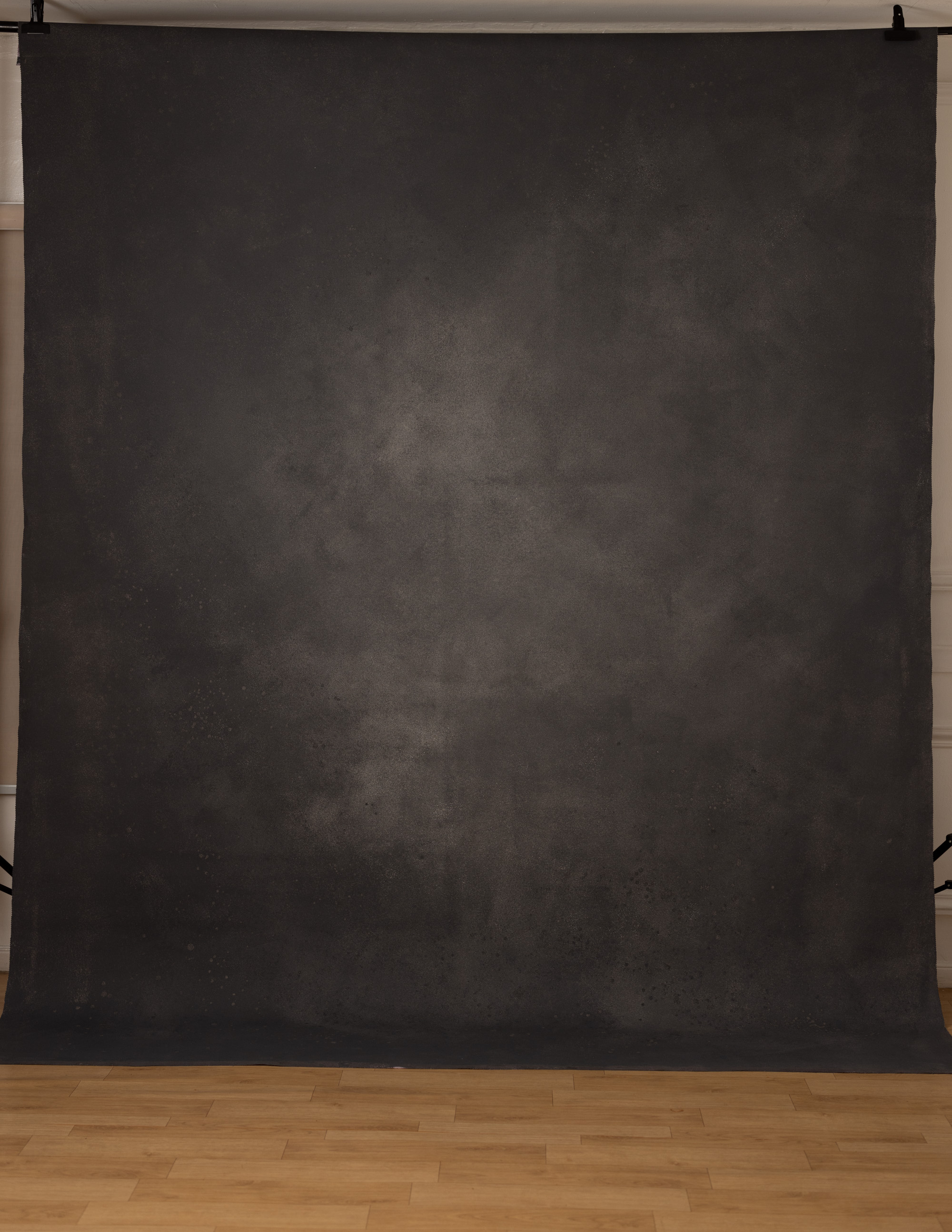 BlackEel And Venus Painted Canvas Backdrop (SL#491) view 7
