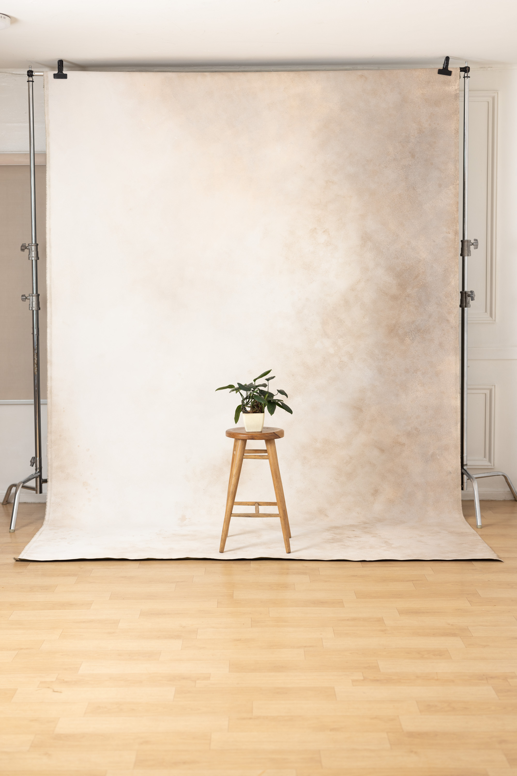 Olive Veil Painted Canvas Backdrop (SL#478)