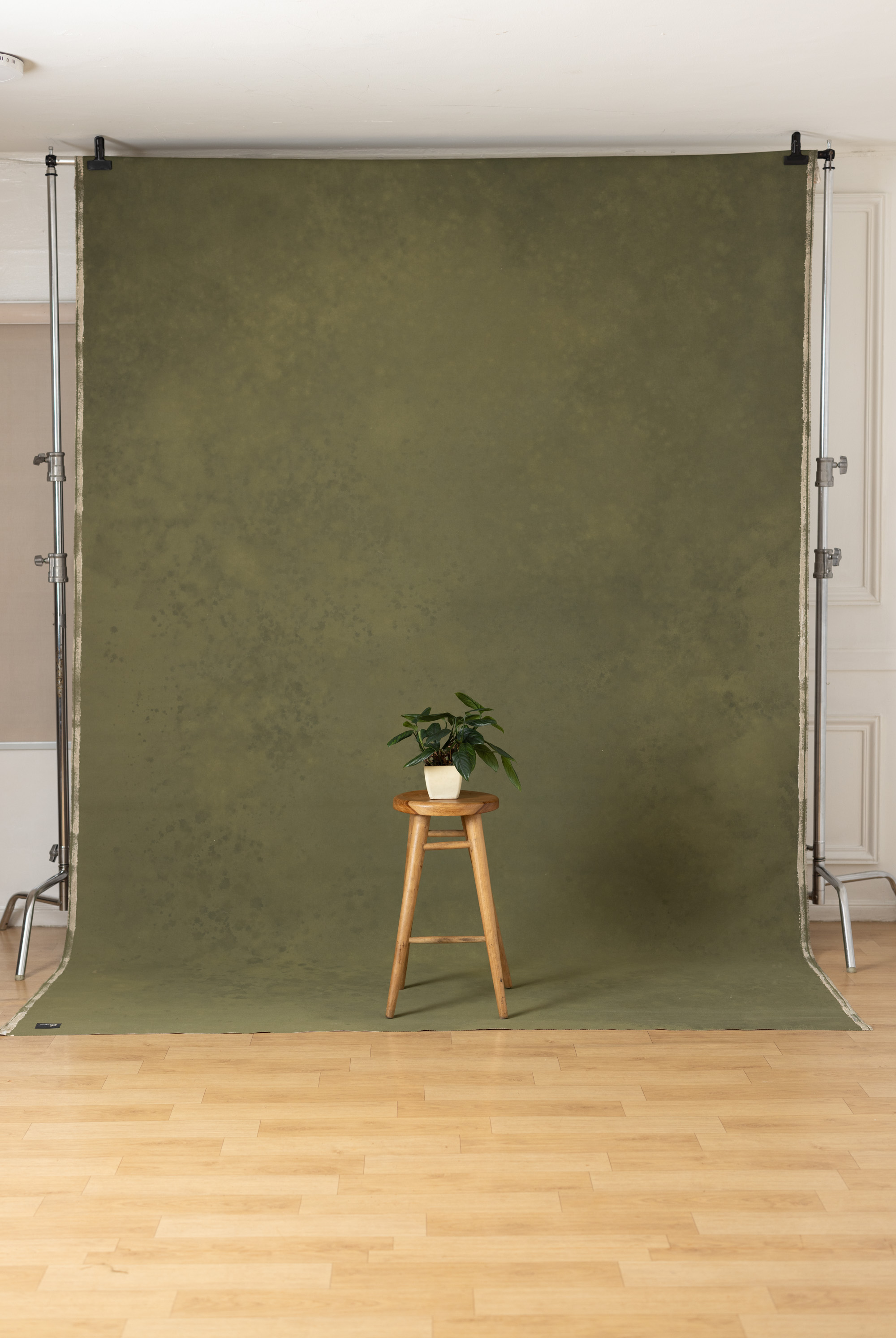Olive Veil Painted Canvas Backdrop (SL#478) view 3