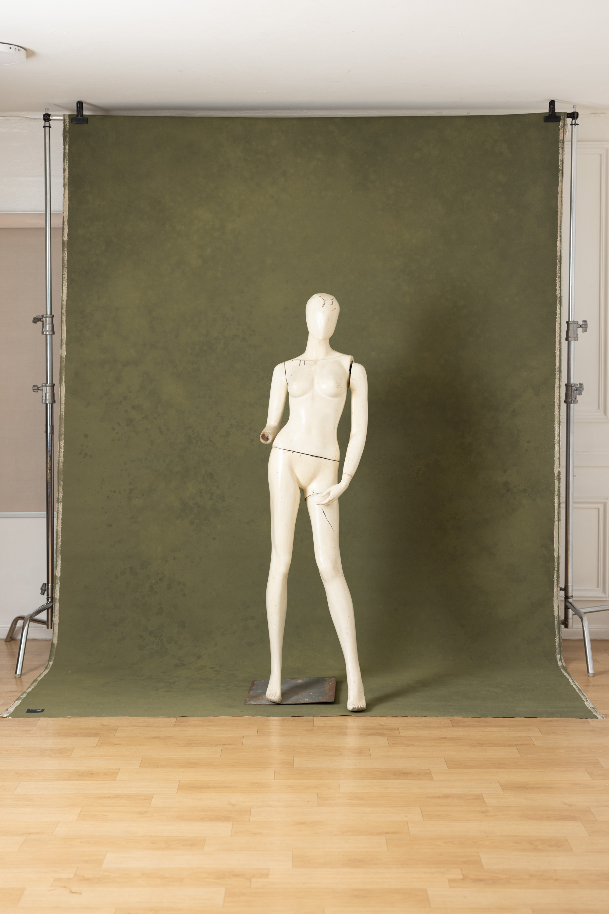 Olive Veil Painted Canvas Backdrop (SL#478) view 4