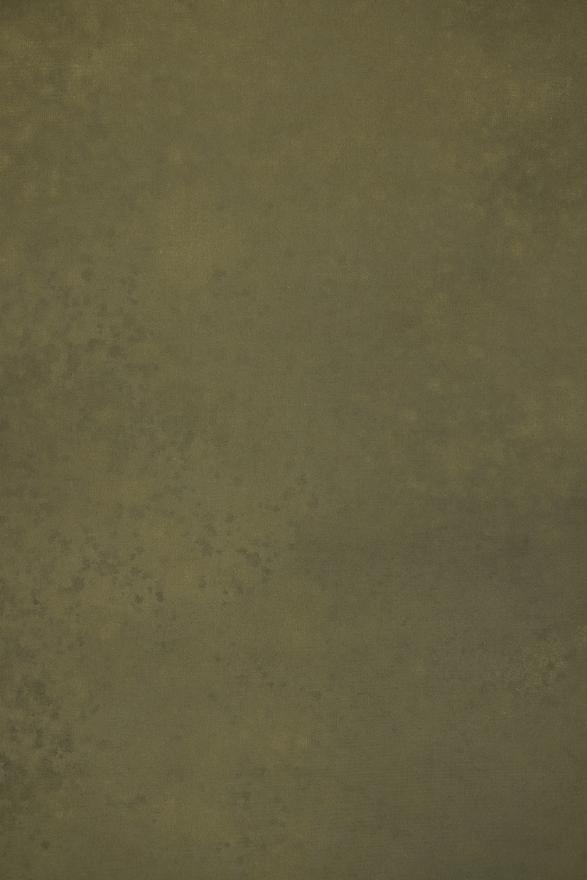 Olive Veil Painted Canvas Backdrop (SL#478) view 5