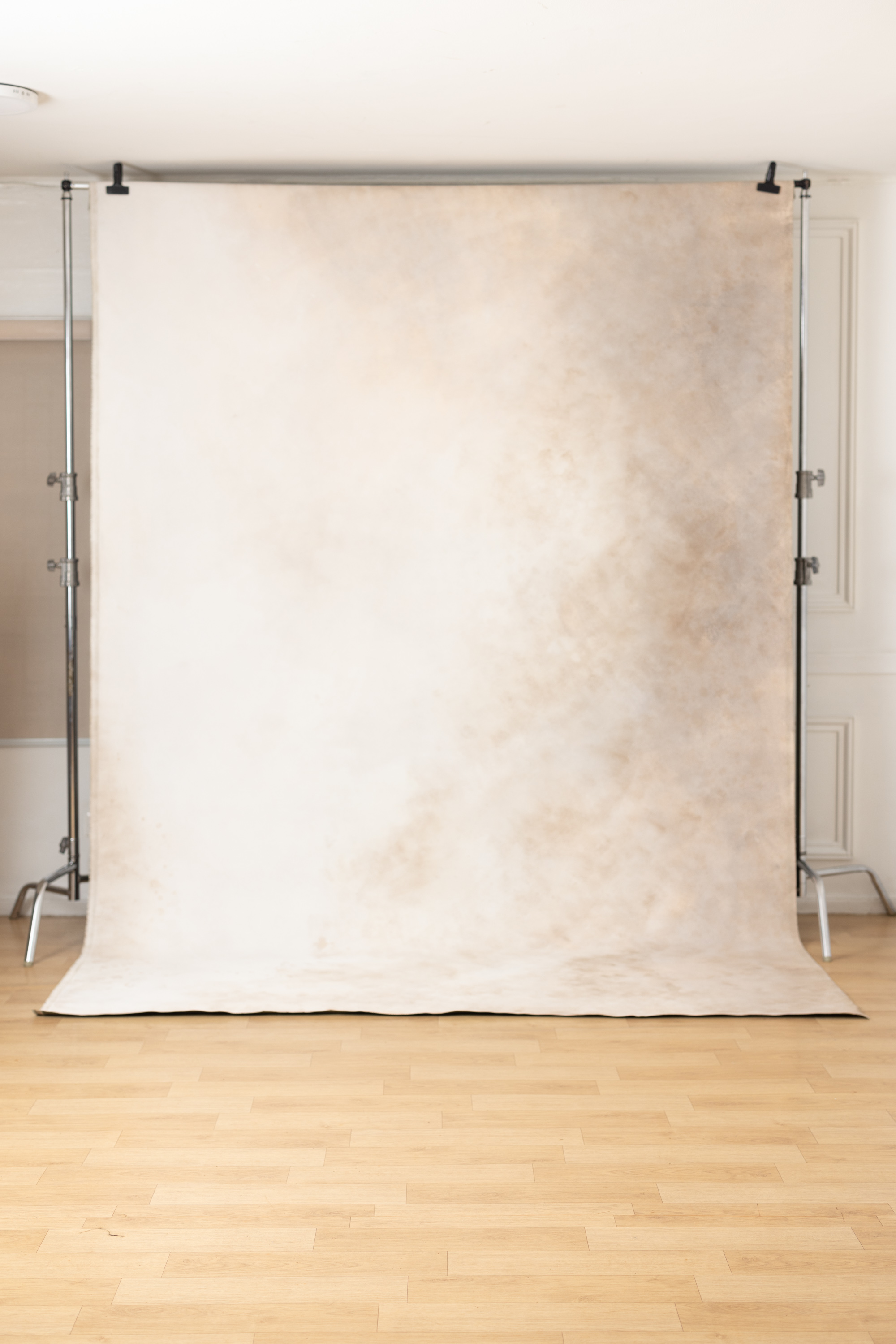 Olive Veil Painted Canvas Backdrop (SL#478) view 6